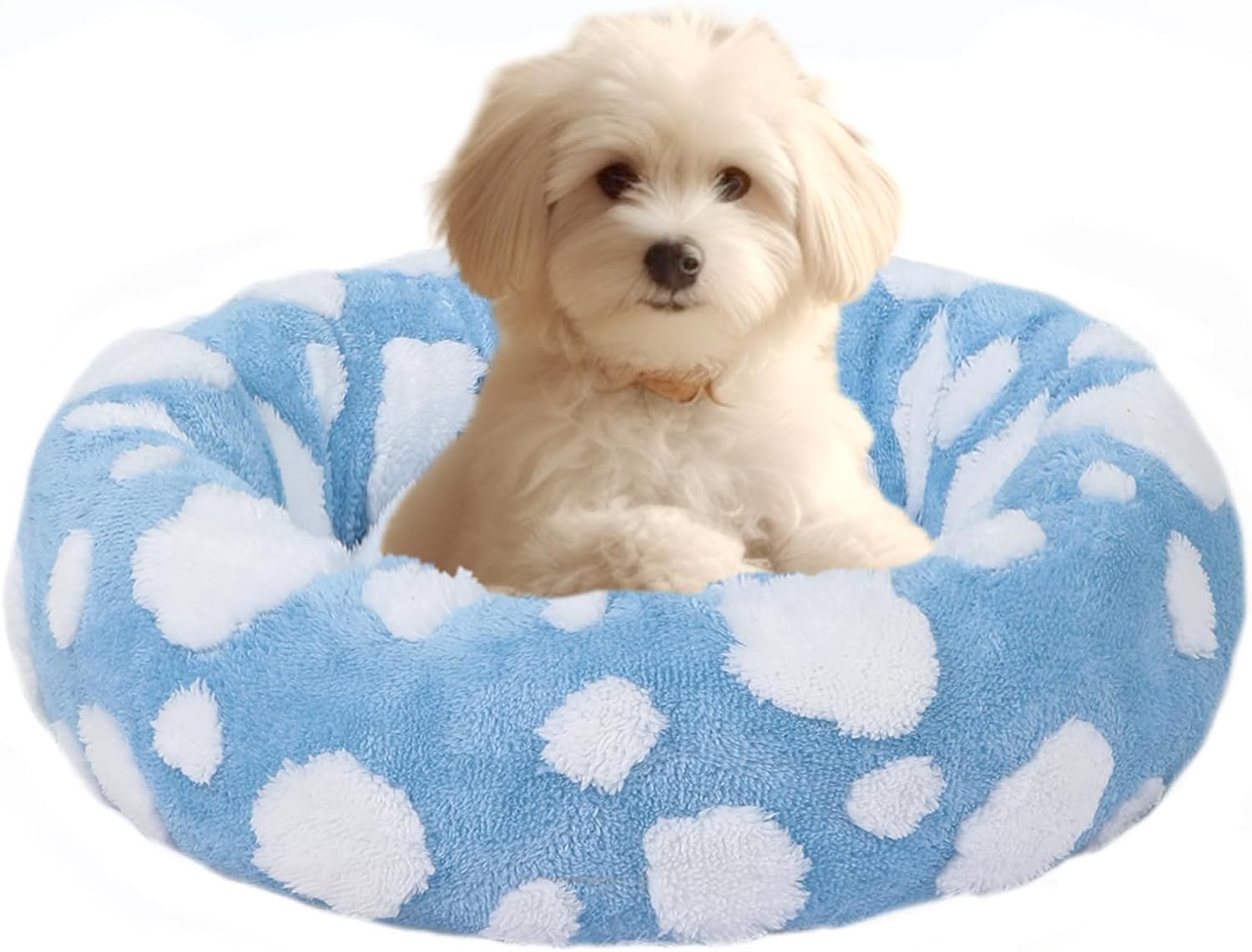 HYQ Small Dog Bed, Cat Beds for Indoor Cats, Dog Beds for Small Dogs with Anti-S...