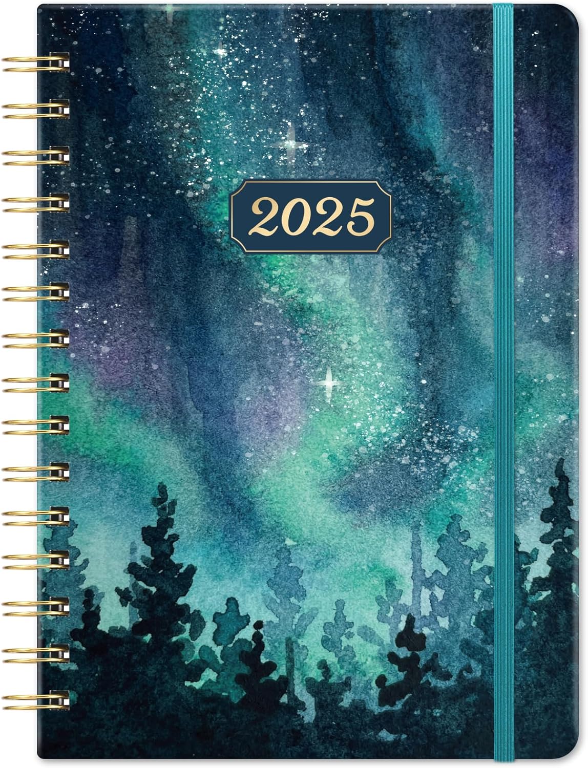 2025 Diary - Diary 2025 from Jan. 2025 to Dec. 2025, 2025 Diary A5 Week to View...