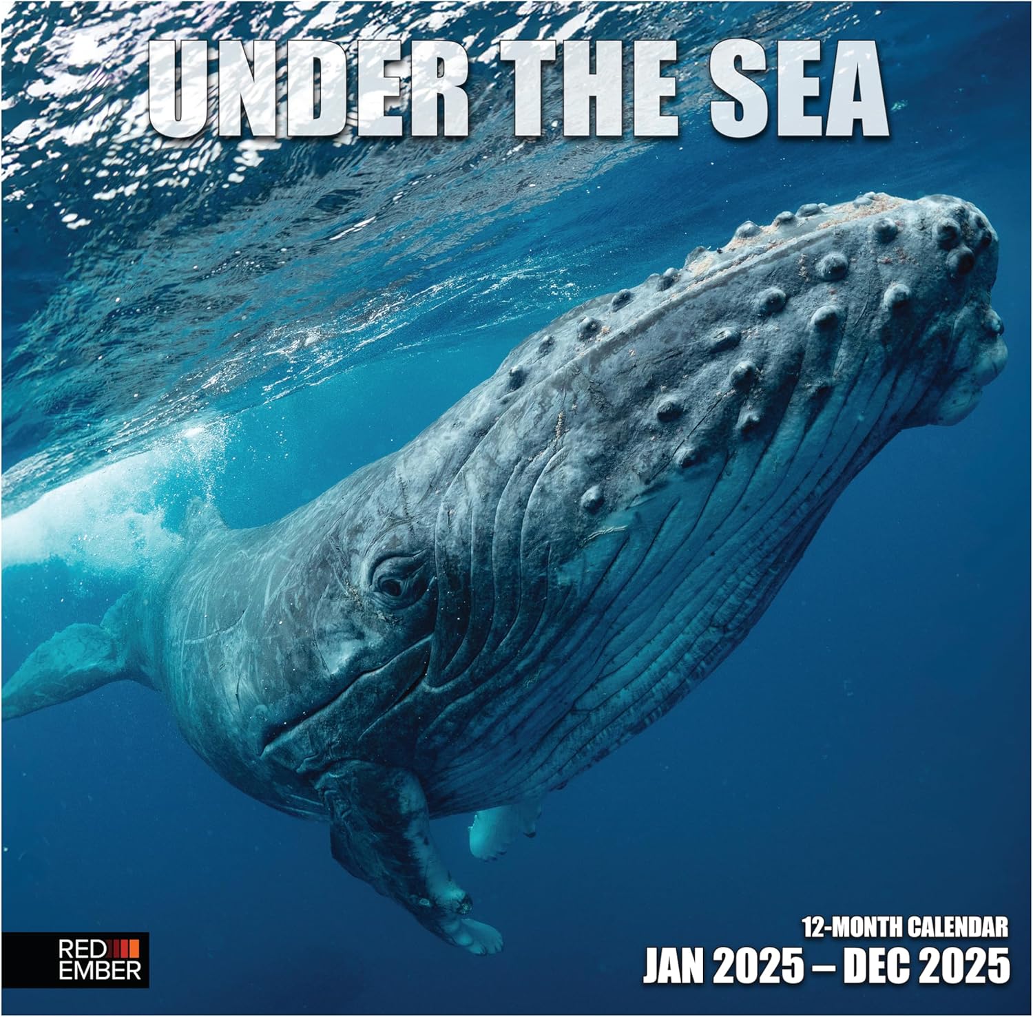 RED EMBER Under the Sea 2025 Wall Calendar 12 Month | 12" x 24" Open | Thick & S...