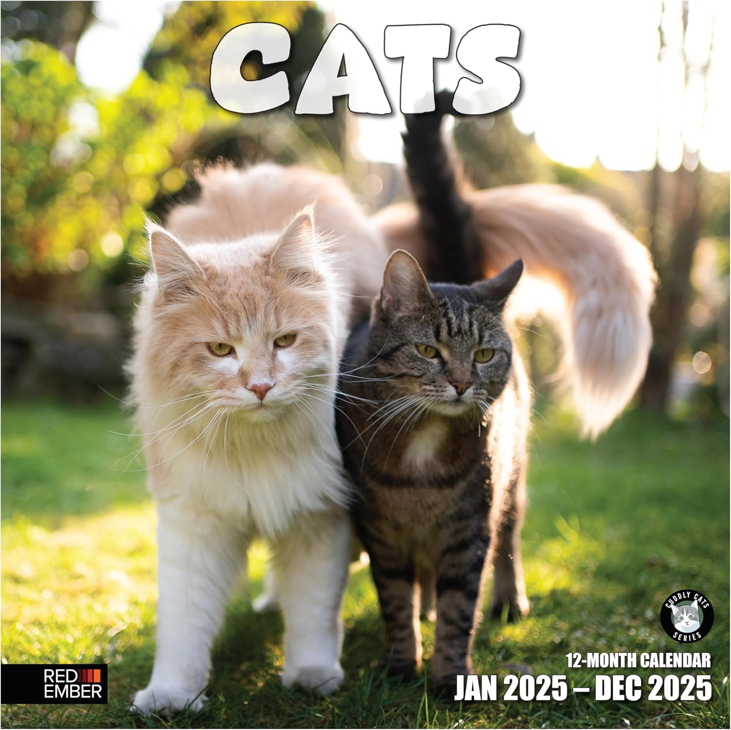 RED EMBER Cats 2025 Wall Calendar 12 Month | 12" x 24" Open | Thick & Sturdy Pap...