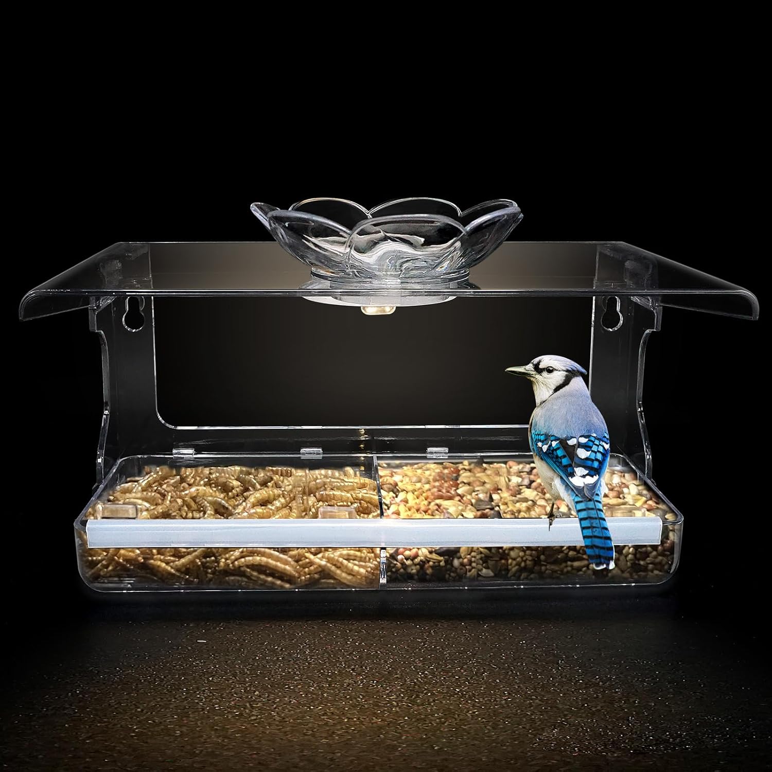 Window Bird Feeder with Solar Light, High Transpar...