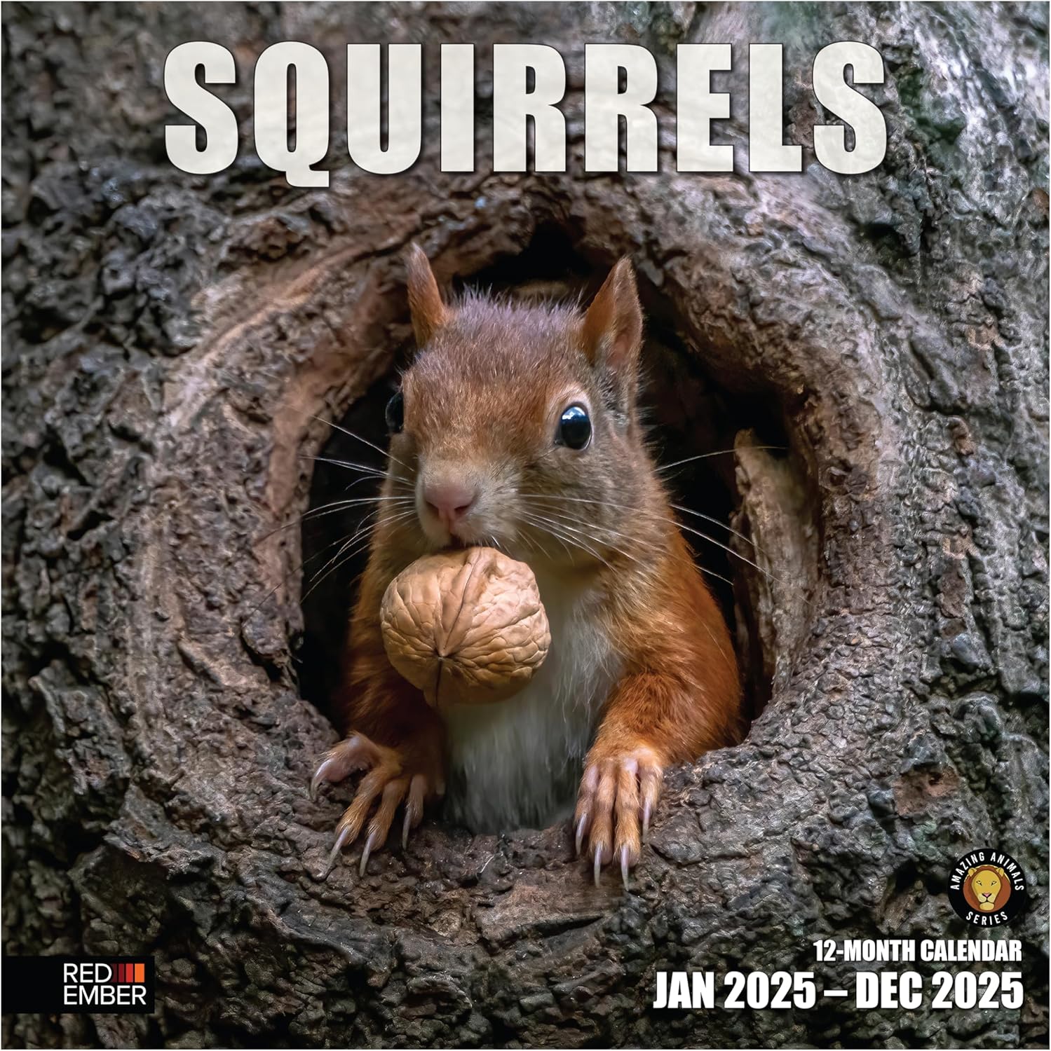 RED EMBER Squirrels 2025 Wall Calendar 12 Month | 12" x 24" Open | Thick & Sturd...