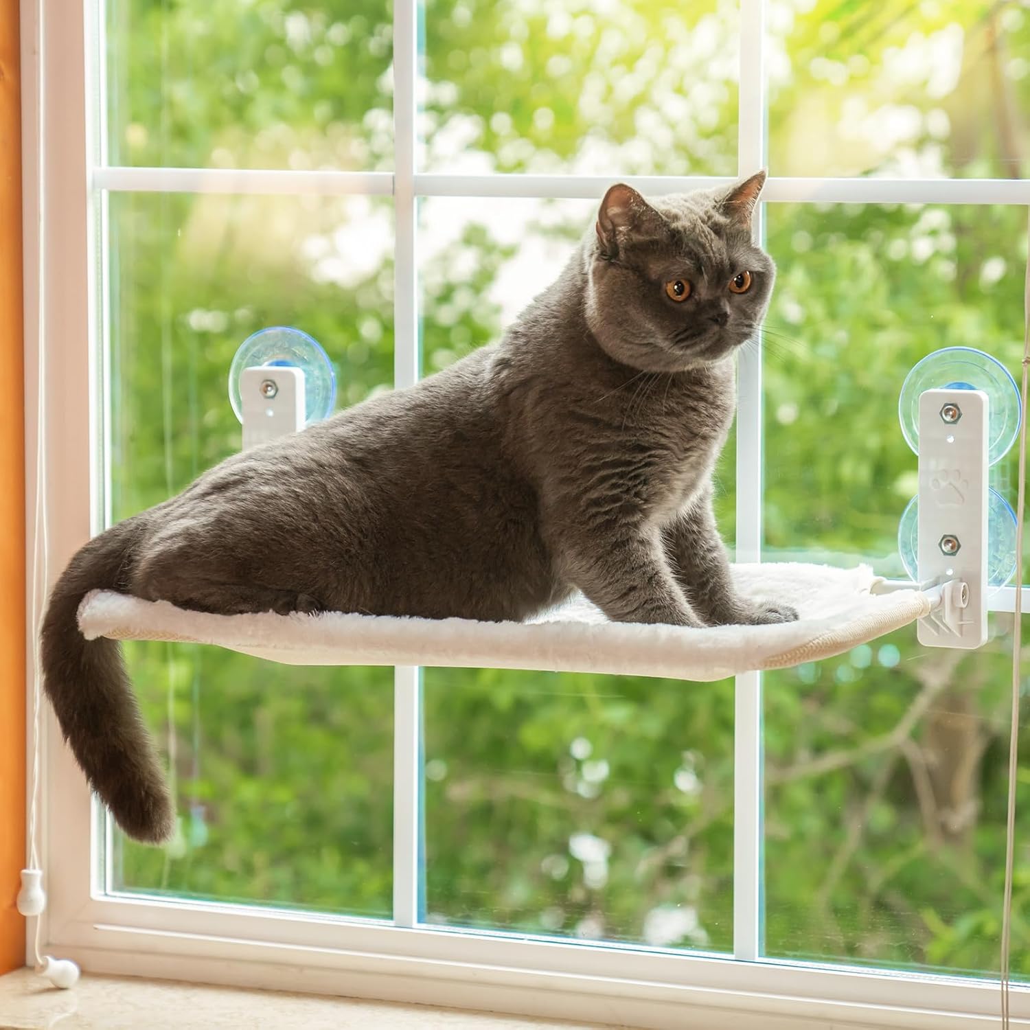 MEWOOFUN Foldable Cat Window Hammock Perch - Cat Window Bed with Powerful Suctio...