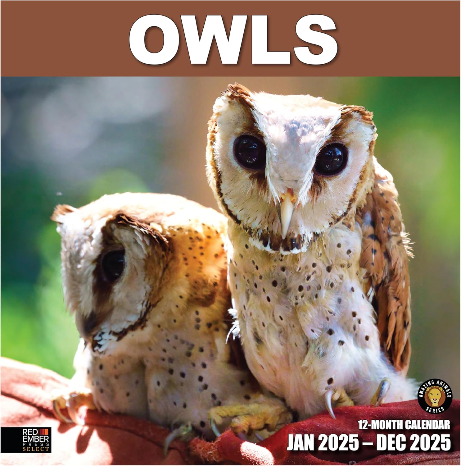RED EMBER Select - Owls 2025 Wall Calendar 12 Month | 12" x 24" Open | Thick & S...