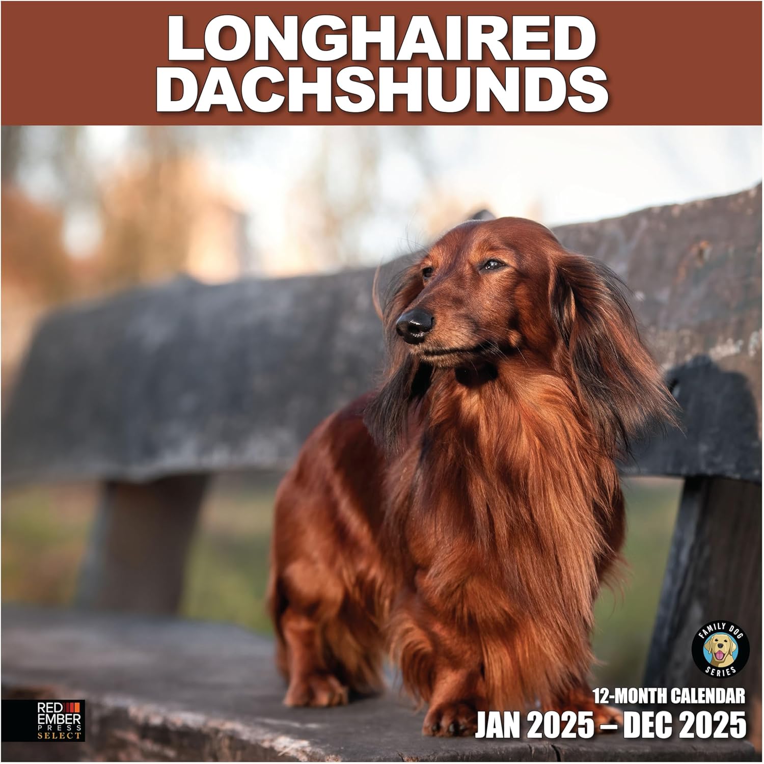 RED EMBER Select - Longhaired Dachshunds 2025 Wall Calendar 12 Month | 12" x 24"...