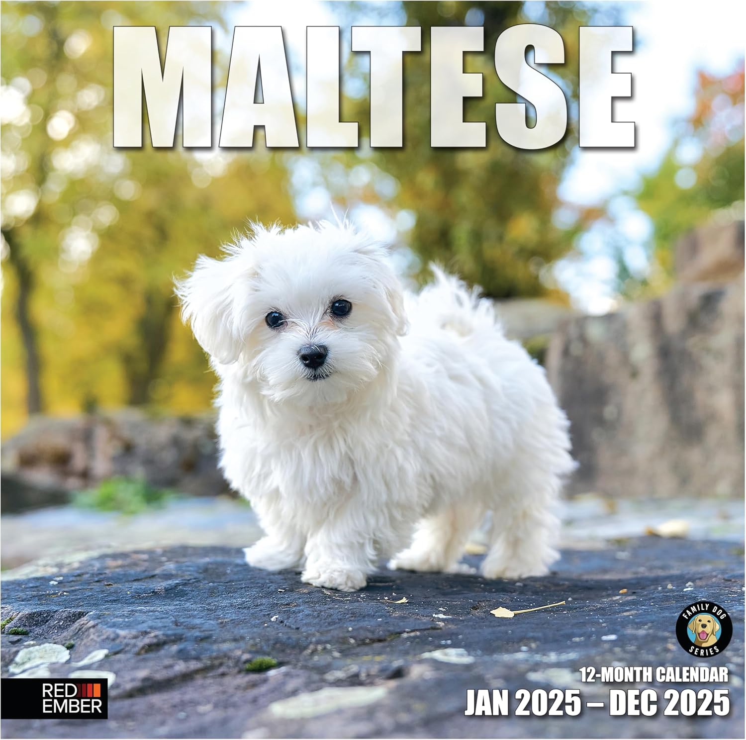 RED EMBER Maltese 2025 Wall Calendar 12 Month | 12" x 24" Open | Thick & Sturdy...