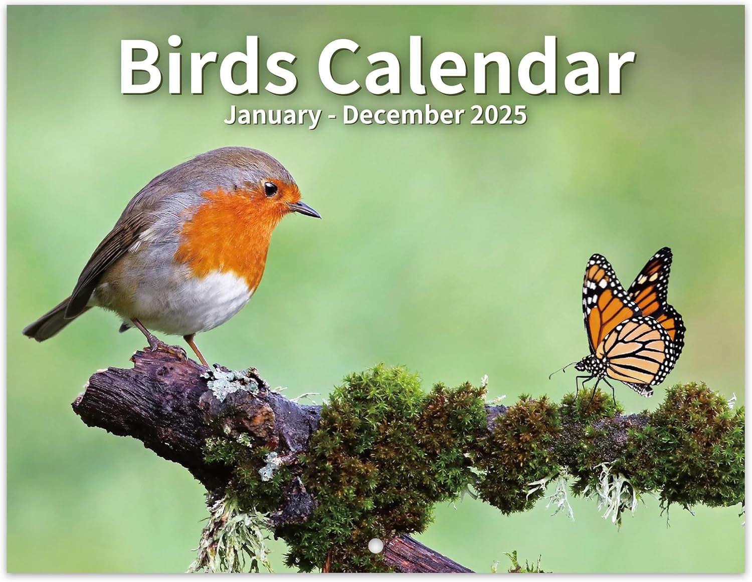 2025 Calendar - Birds Calendar 2025 UK from Jan. 2025 to Dec. 2025, Wall Calenda...