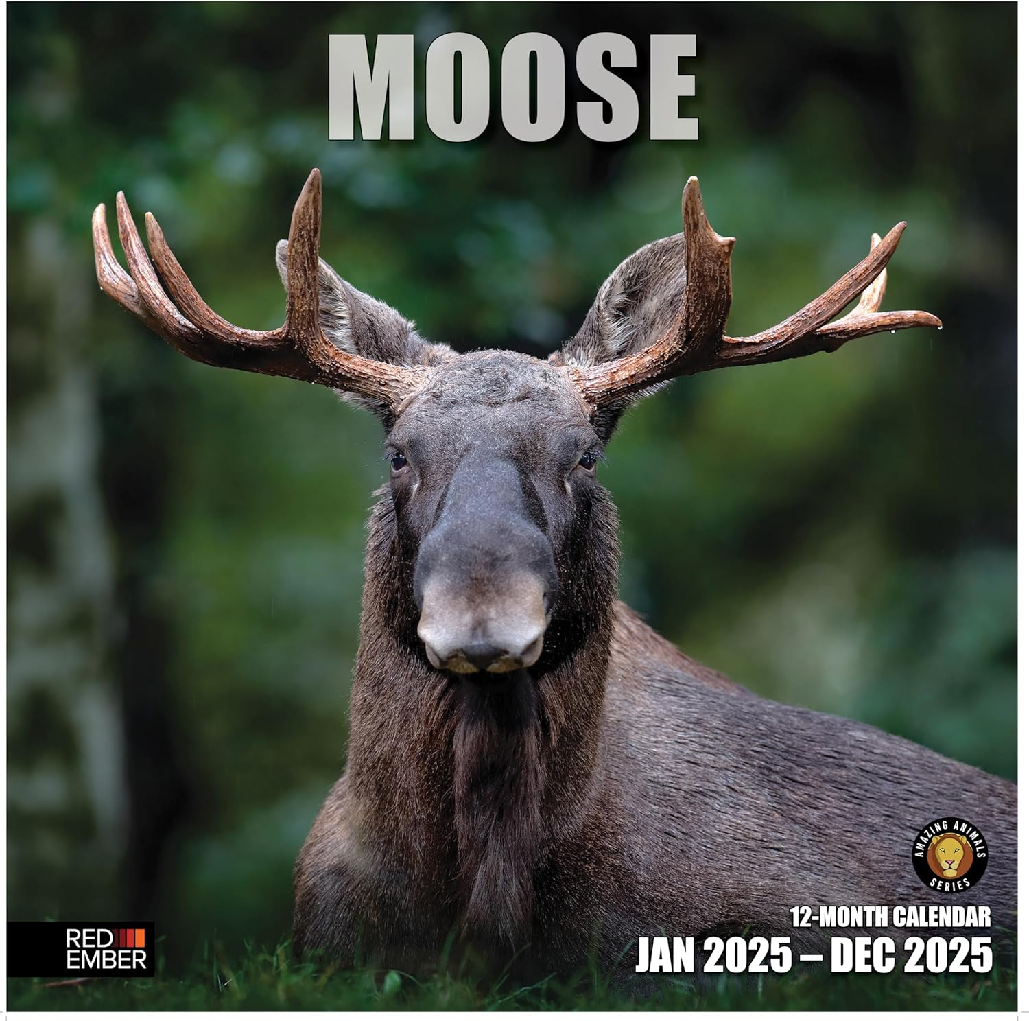 RED EMBER Moose 2025 Wall Calendar 12 Month | 12" x 24" Open | Thick & Sturdy Pa...
