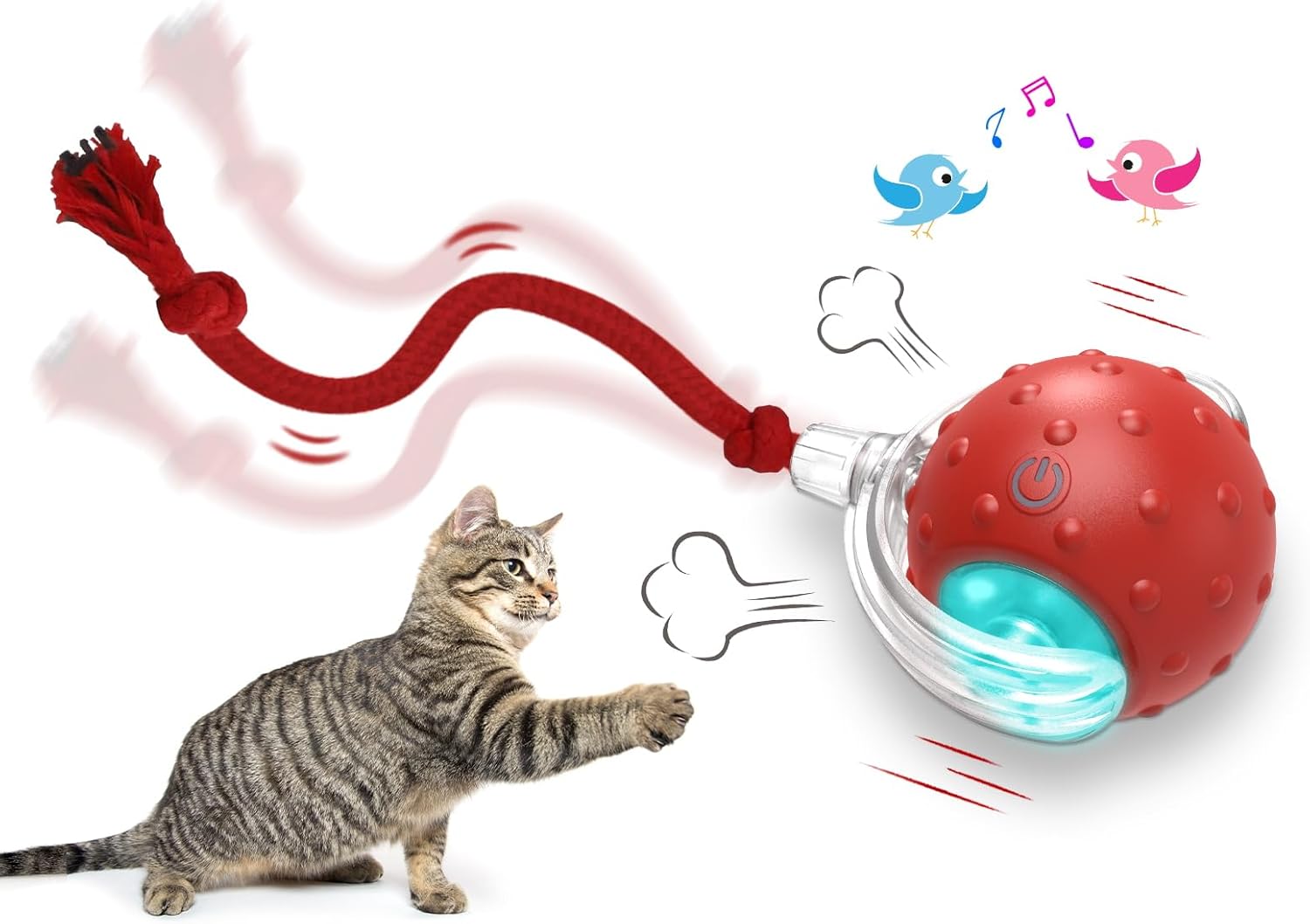Interactive Cat Toys Ball for Indoor Cats Fast Rolling on Carpet, Chirping & Mot...