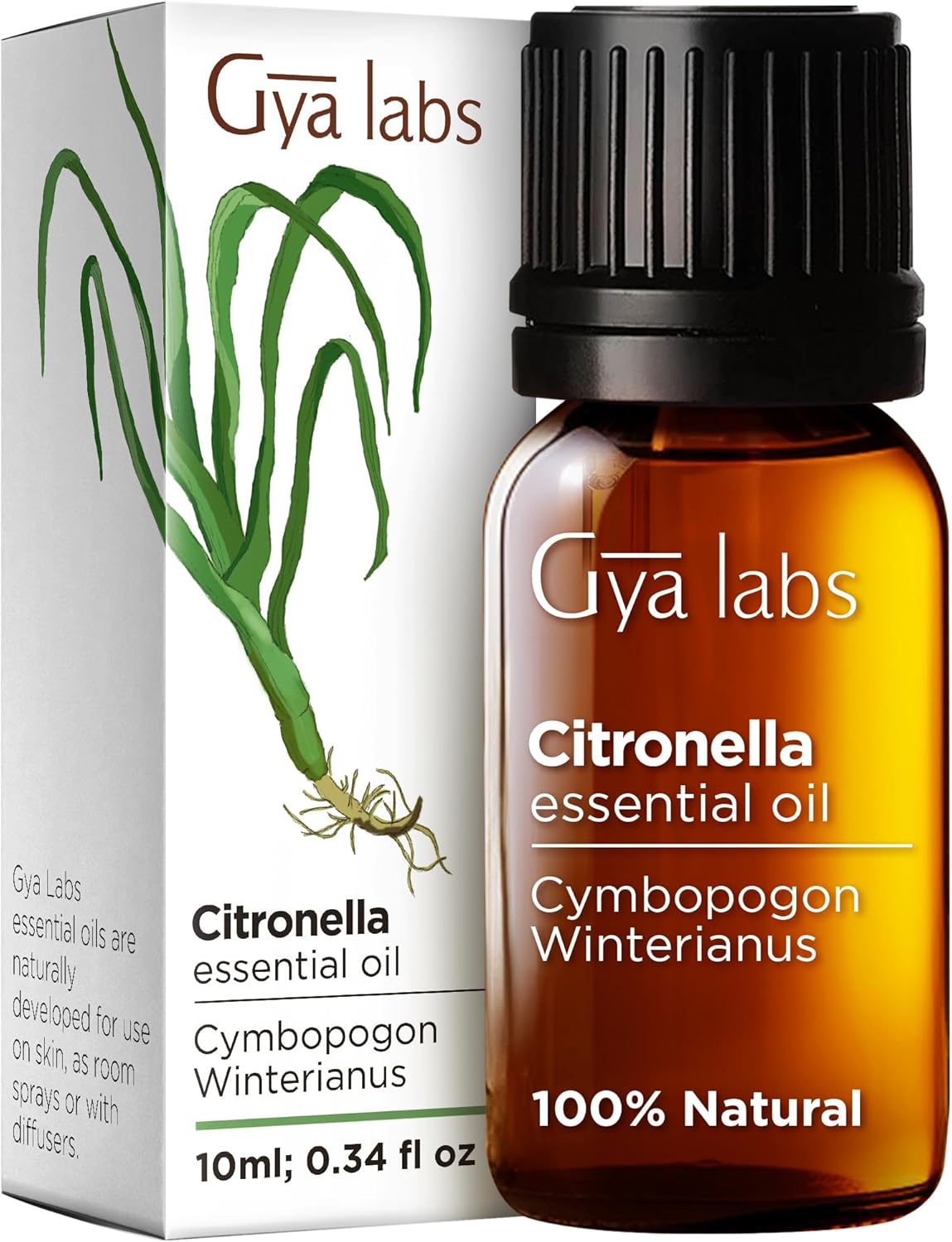Gya Labs Citronella Essential Oil - 100% Natural Citronella Oil for Skin Diffuse...