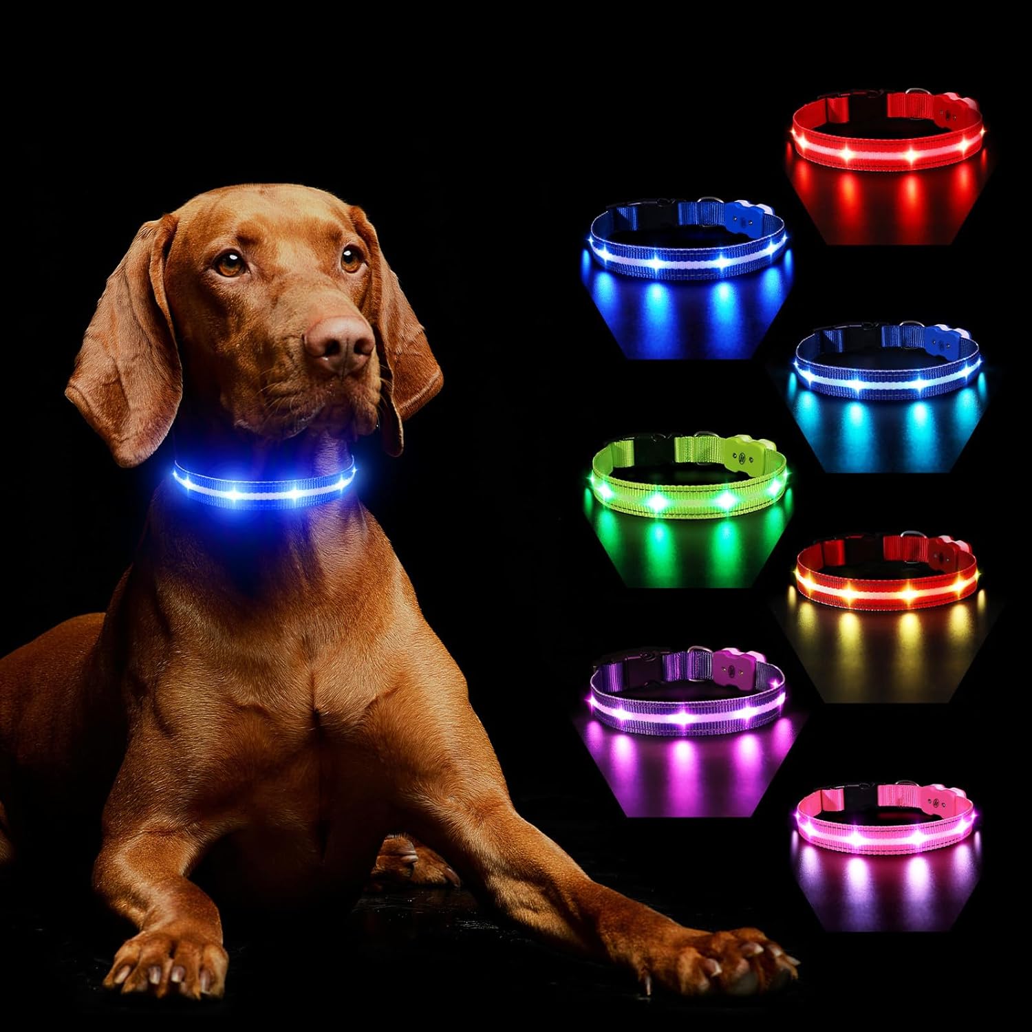 Light Up Dog Collar Rechargeable, LED Dog Collar Lights with 7 Colors Change 8 L...