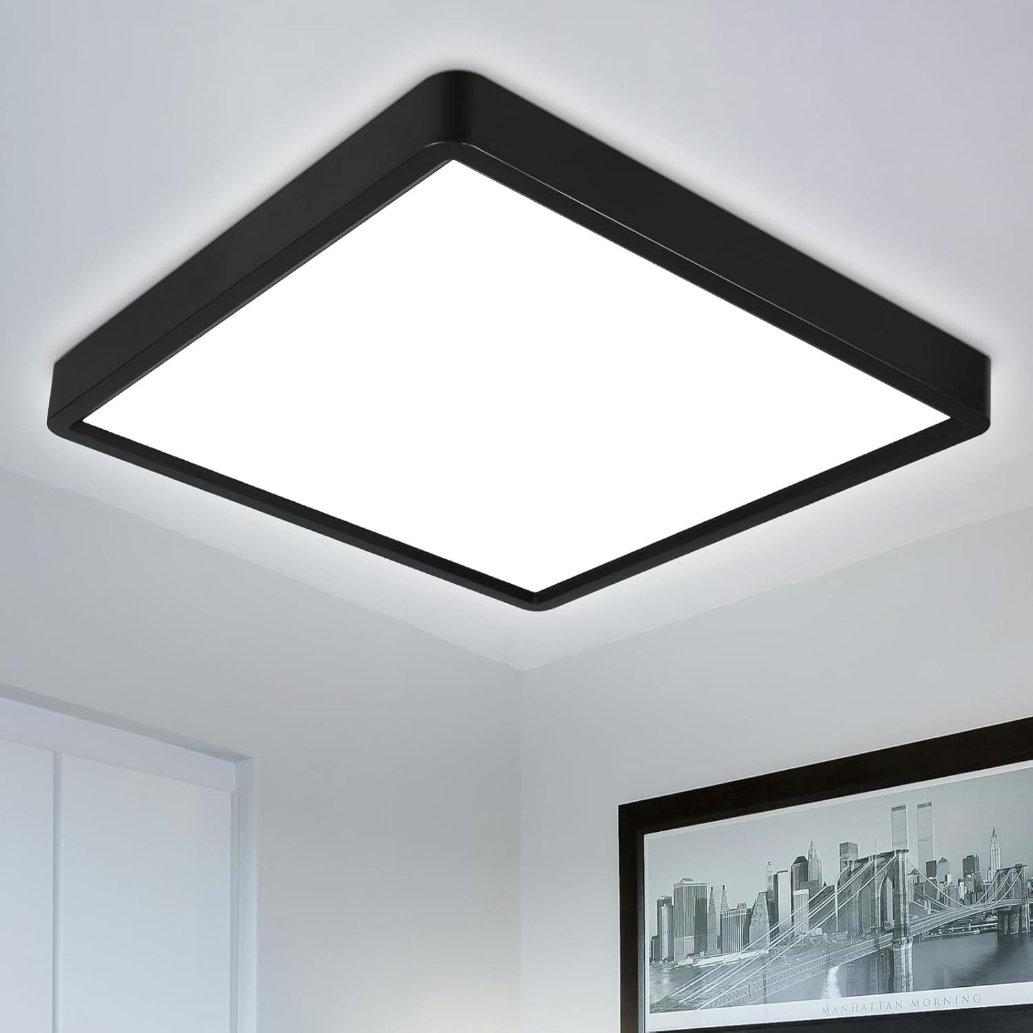 Defurhome LED Ceiling Light,24W 2200LM,150W Equivalent,5000K Daylight White,Wate...