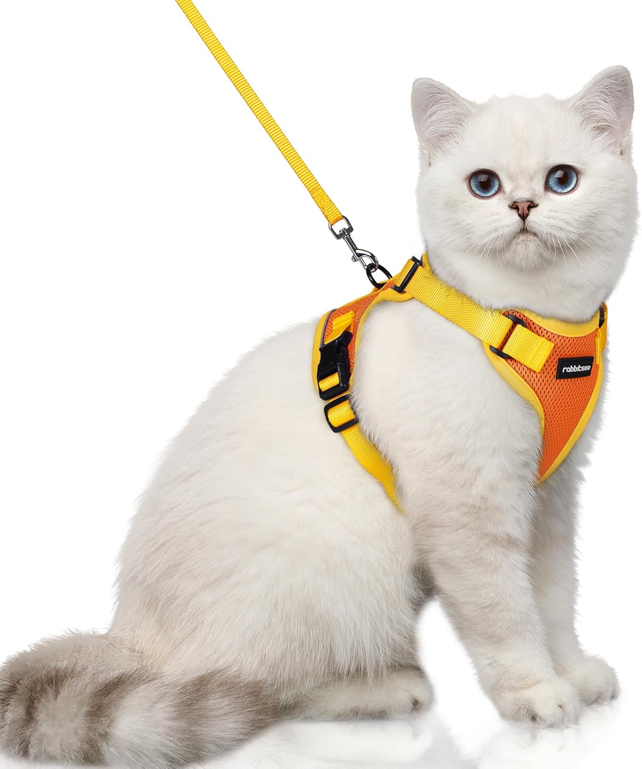 rabbitgoo Cat Harness and Leash Set, Escape Proof Soft Adjustable Vest Harnesses...