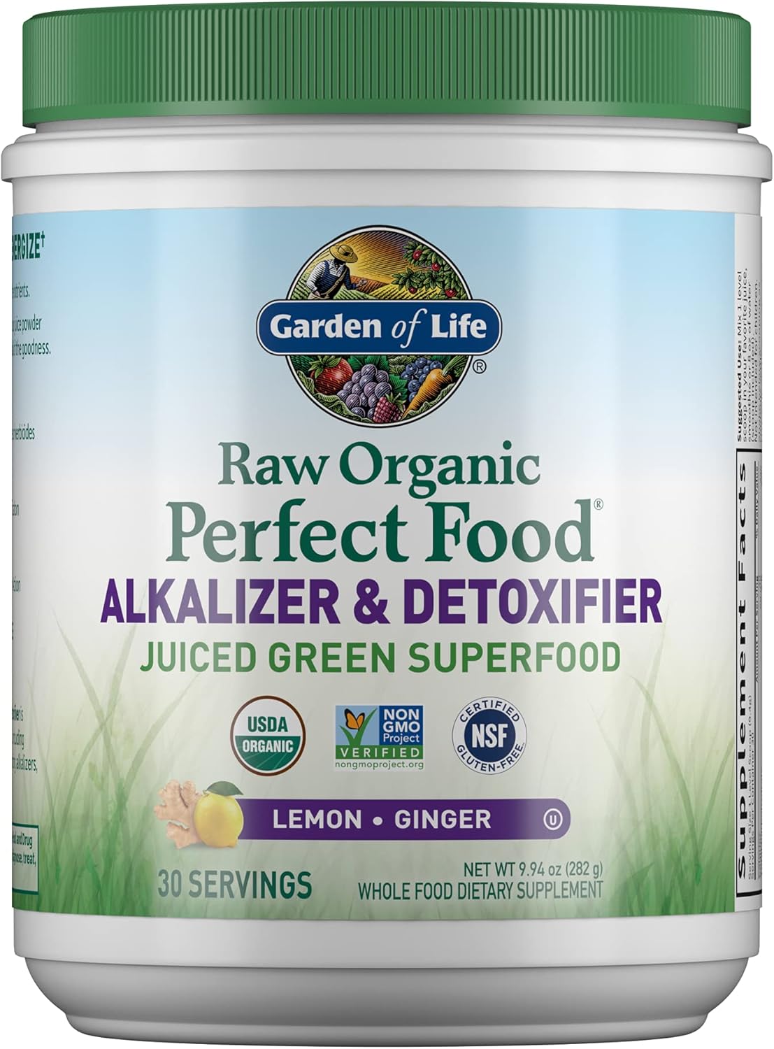 Garden of Life Raw Organic Perfect Food Alkalizer & Detoxifier Juiced Greens Sup...