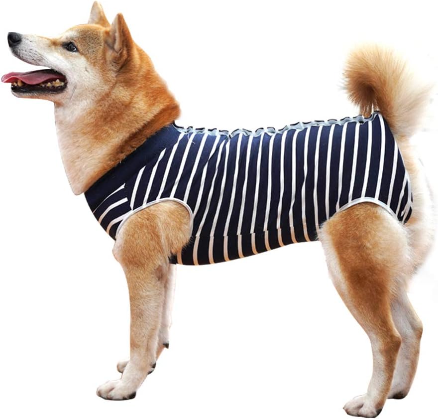 HEYWEAN Dog Recovery Suit Spay Suit for Female Dog Bodysuit After Surgery Dog On...