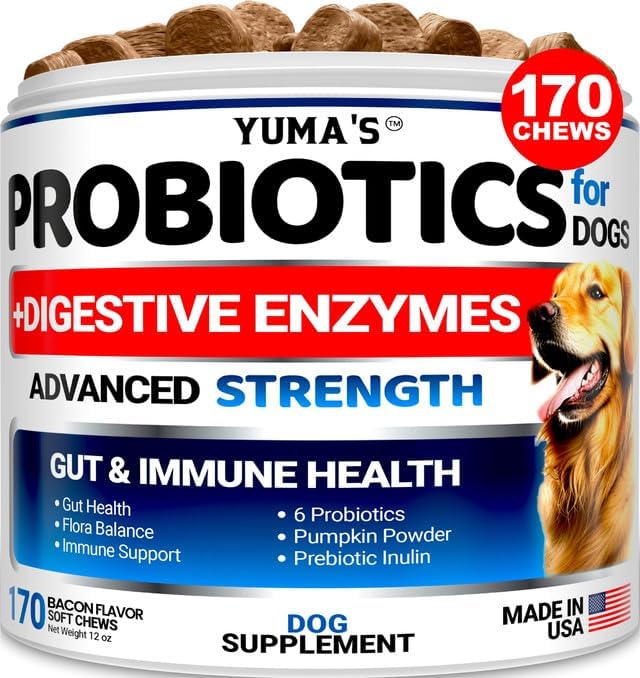 Probiotics for Dogs and Digestive Enzymes - 170 Dog Probiotics Chews - Dog Probi...
