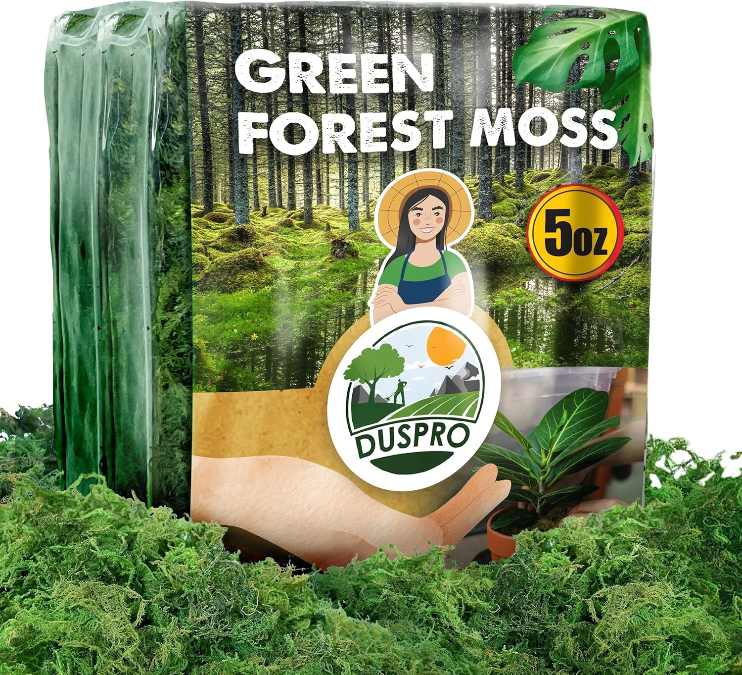 DUSPRO Green Moss for Crafts, Forest Moss Potted Plants, Decorative Moss for Tab...