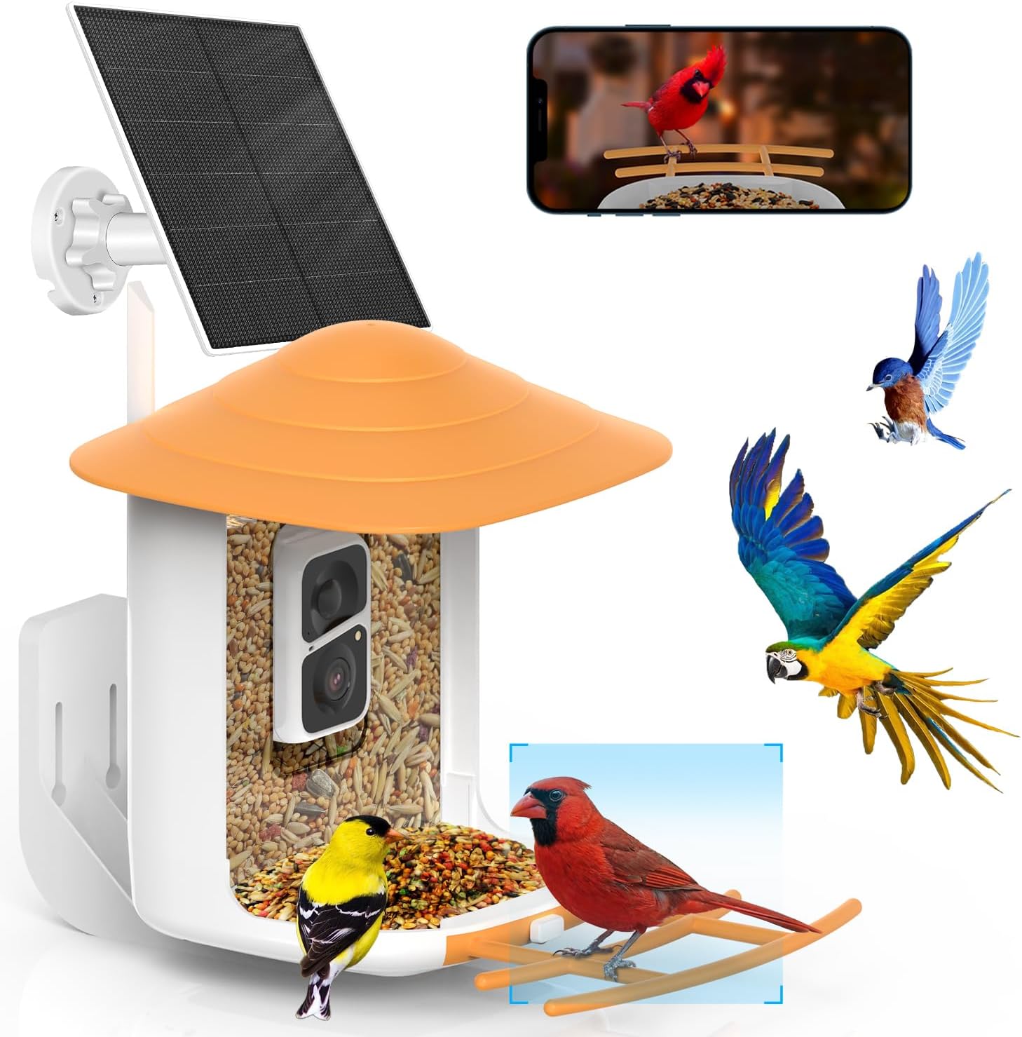 SOLIOM BF09 Bird Feeder with Camera Wireless Outdoor,Smart Bird Feeder Camera wi...