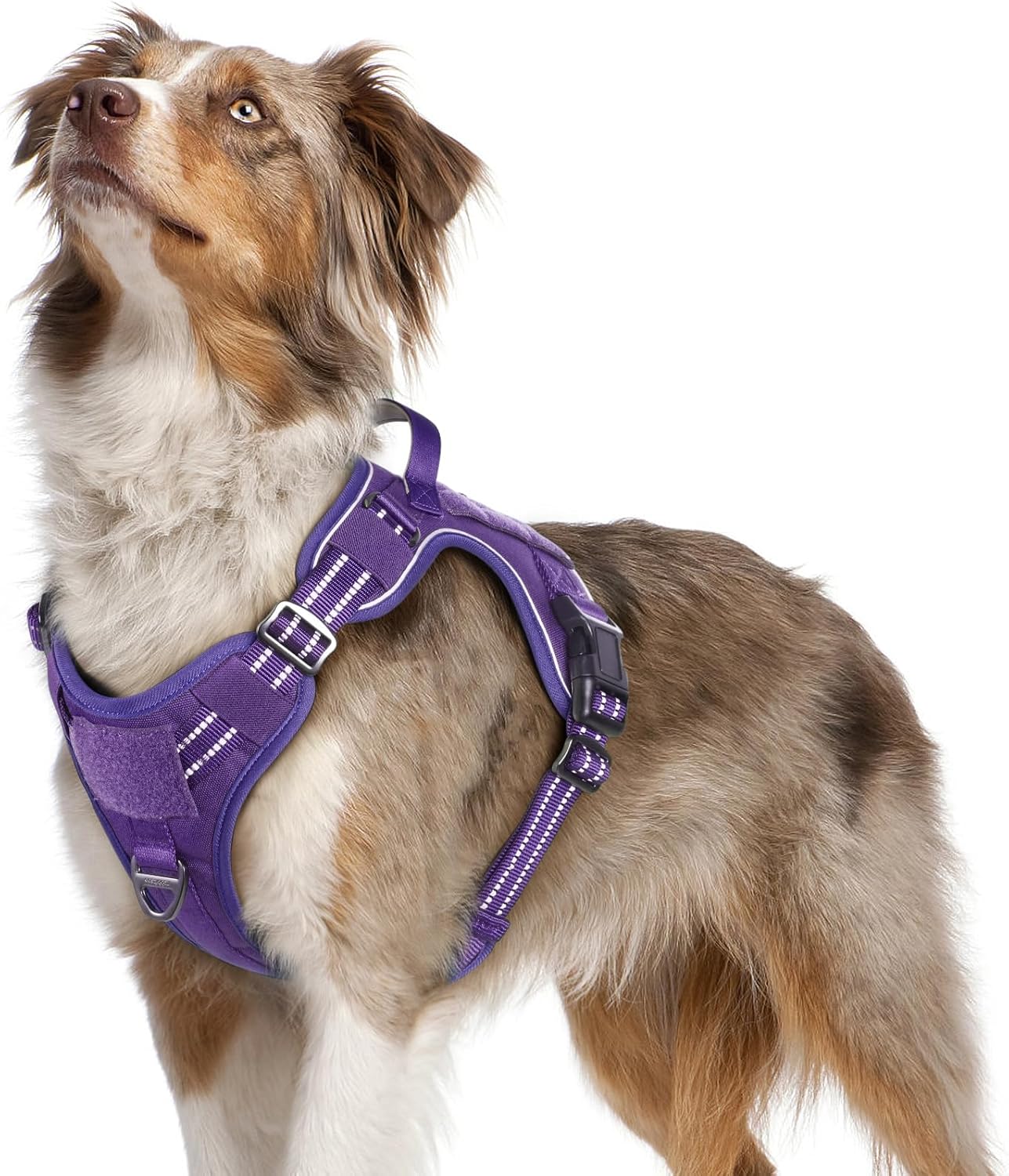 rabbitgoo Tactical No Pull Dog Harness Medium Dog, Adjustable Puppy Harness with...