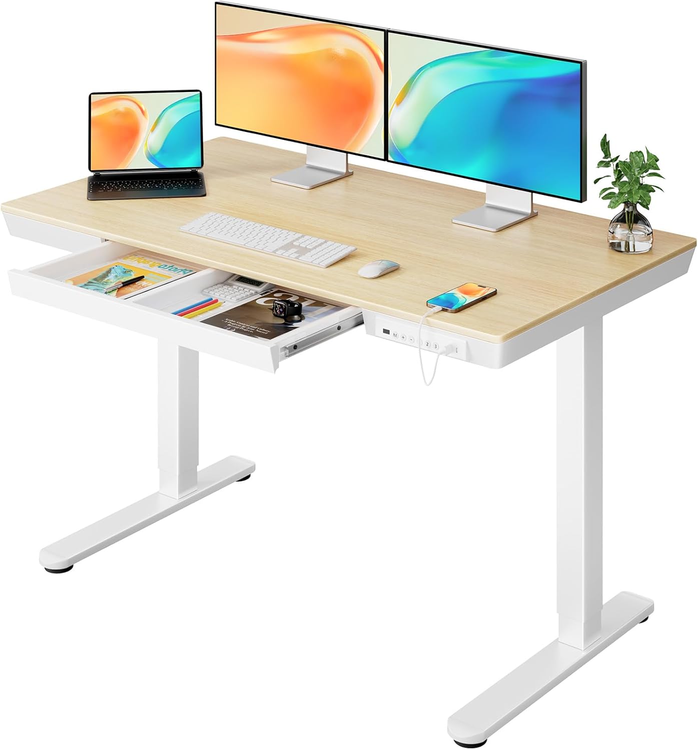 ErGear Electric Standing Desk, 120 x 60cm Height Adjustable Standing Desk with D...