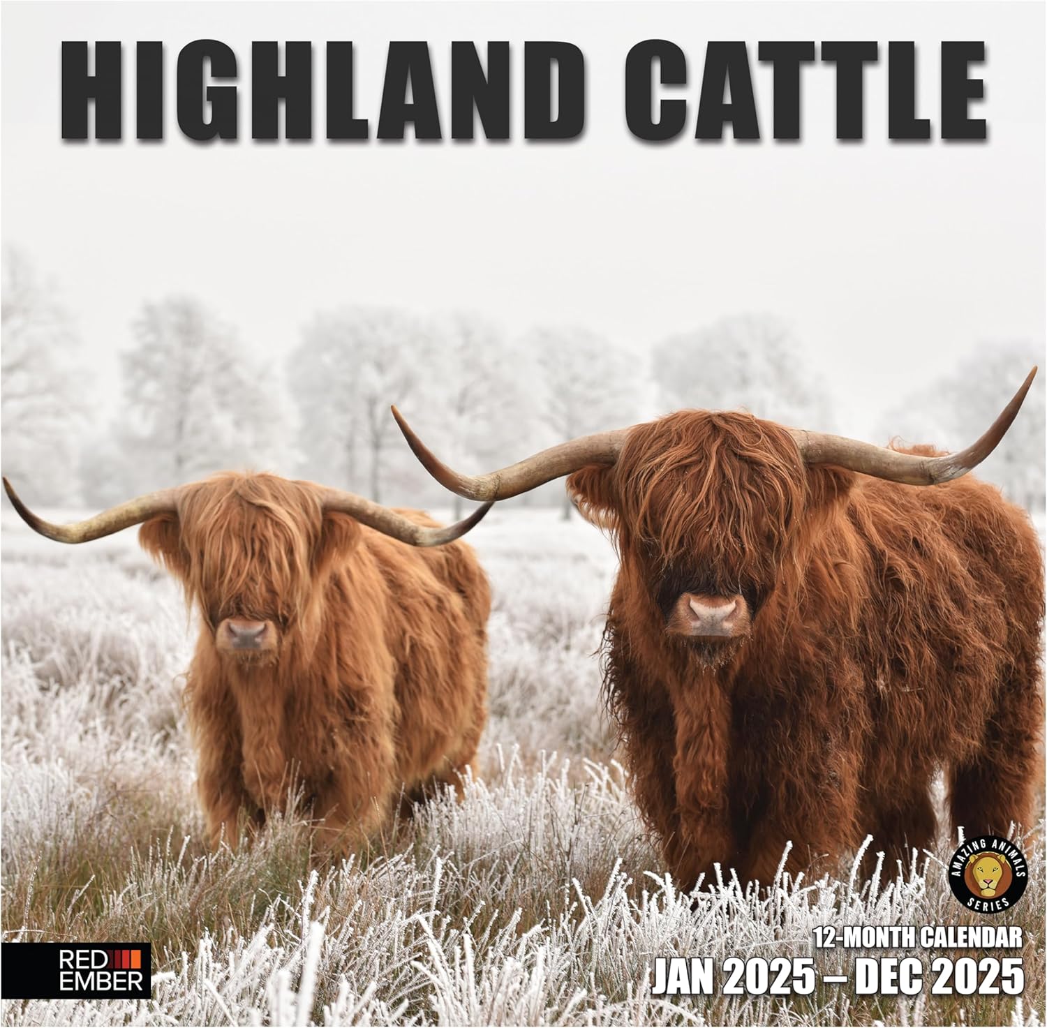 RED EMBER Highland Cattle 2025 Wall Calendar 12 Month | 12" x 24" Open | Thick &...