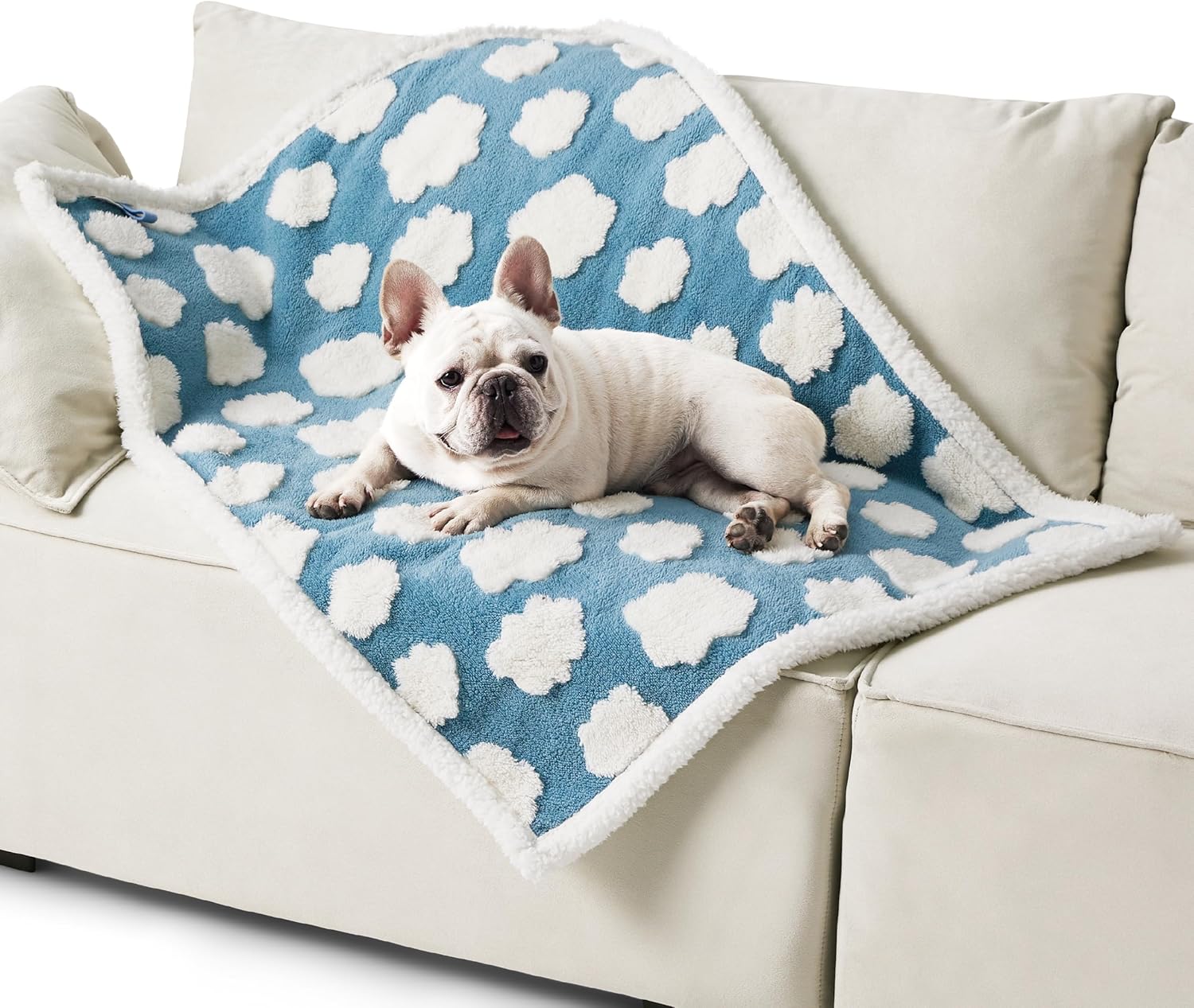 Lesure Waterproof Dog Blanket for Medium Dogs - Washable Double Sided Dog Blanke...