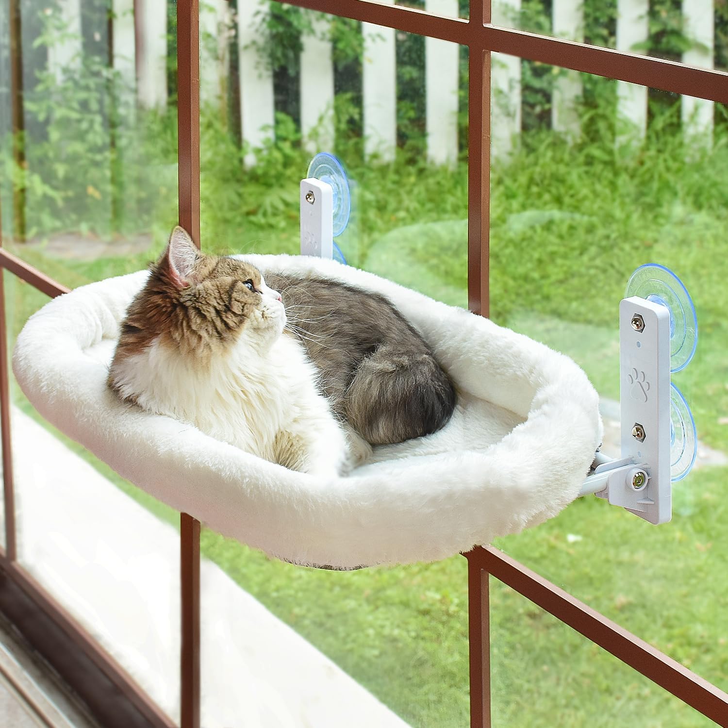 AMOSIJOY Cordless Cat Window Perch, Cat Hammock for Window with 4 Strong Suction...
