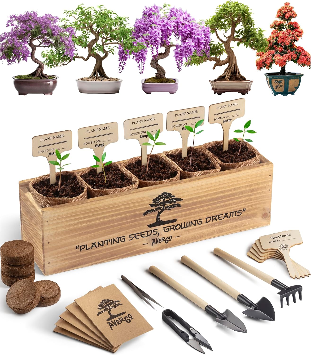 Bonsai Tree Kit – 5X Unique Japanese Bonzai Trees | Complete Indoor Starter Kit...