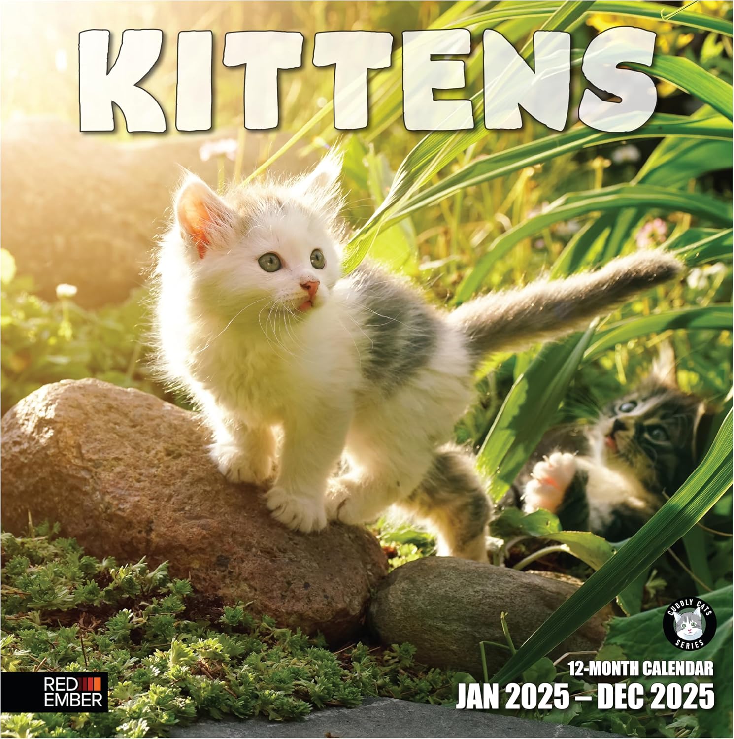 RED EMBER Kittens 2025 Wall Calendar 12 Month | 12" x 24" Open | Thick & Sturdy...