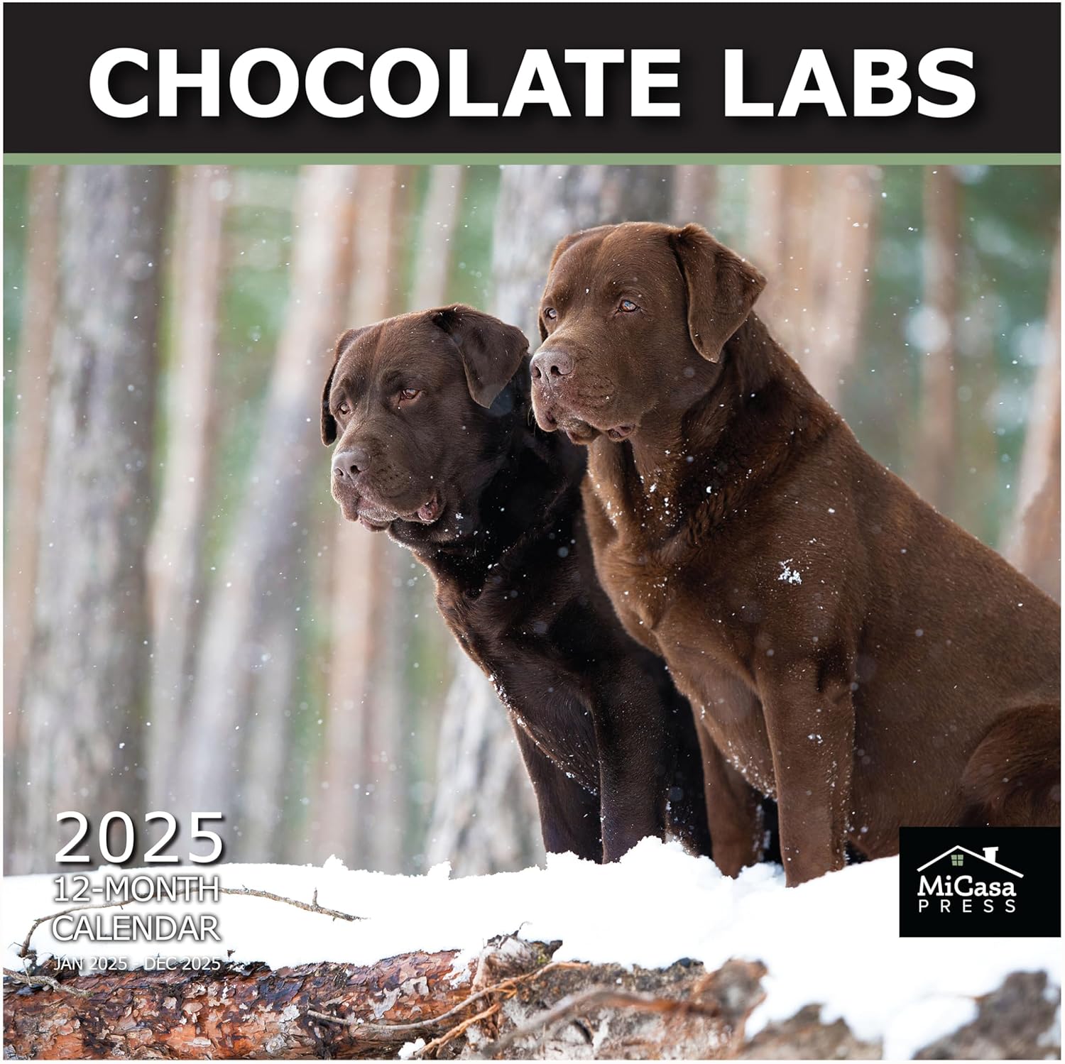 MICASA Chocolate Labs 2025 Wall Calendar 12 Month | 12" x 24" Open | Thick & Stu...