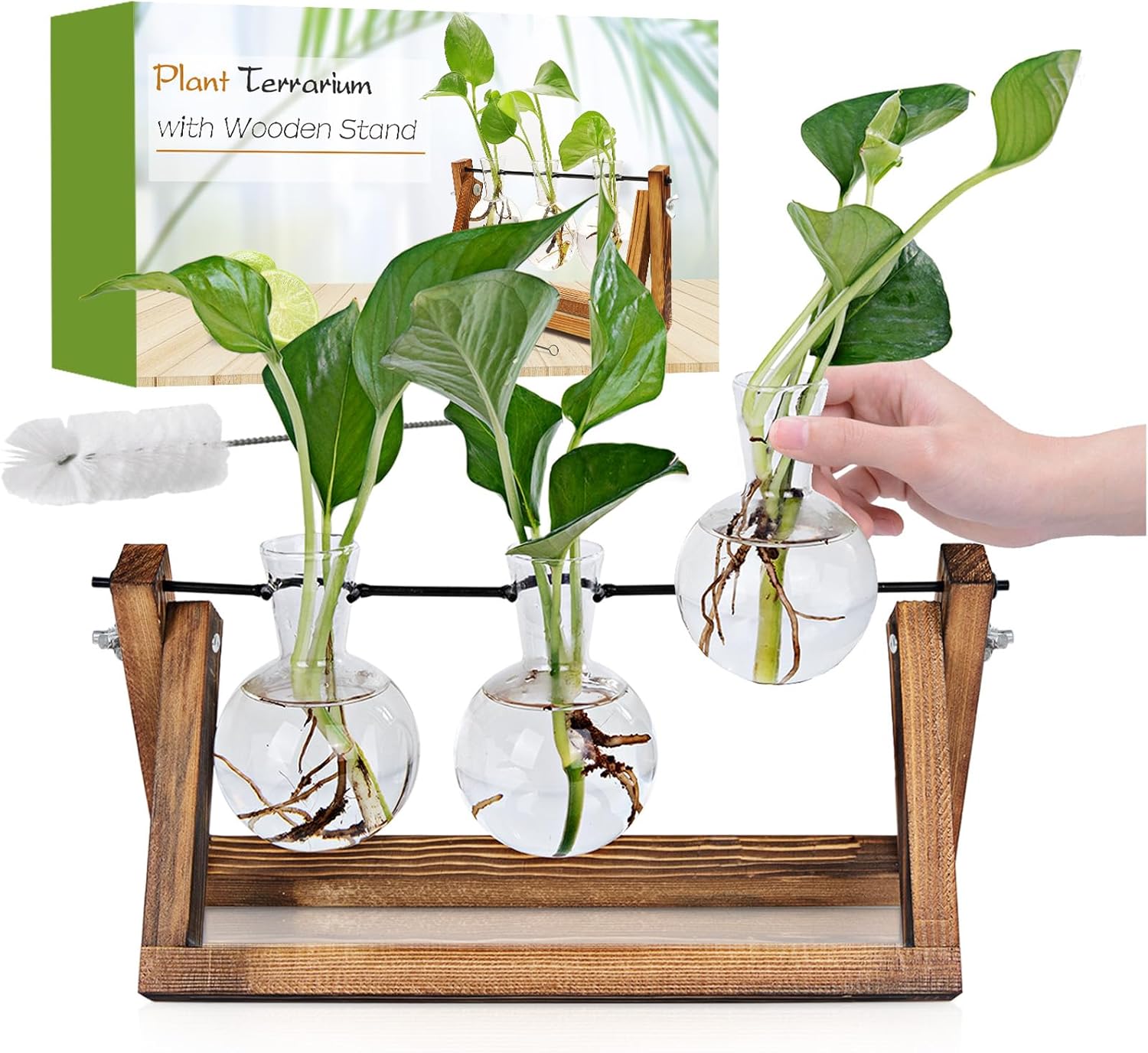 Plant Propagation Station, Plant Terrarium with Wooden Stand, Unique Gardening B...