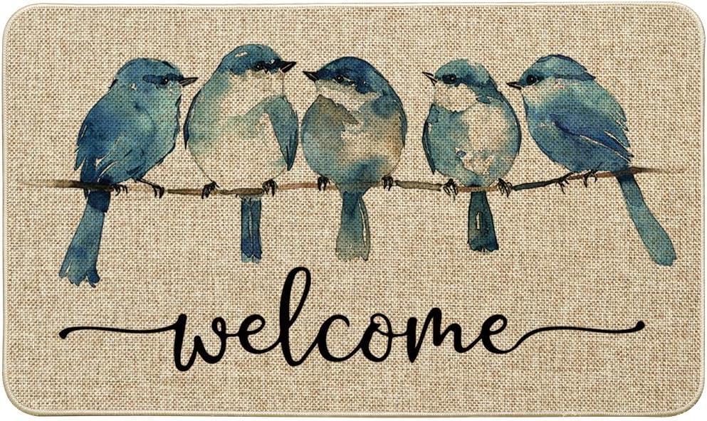 Artoid Mode Robin Bird Winter Welcome Doormat, Snowflakes Christmas Home Decor L...