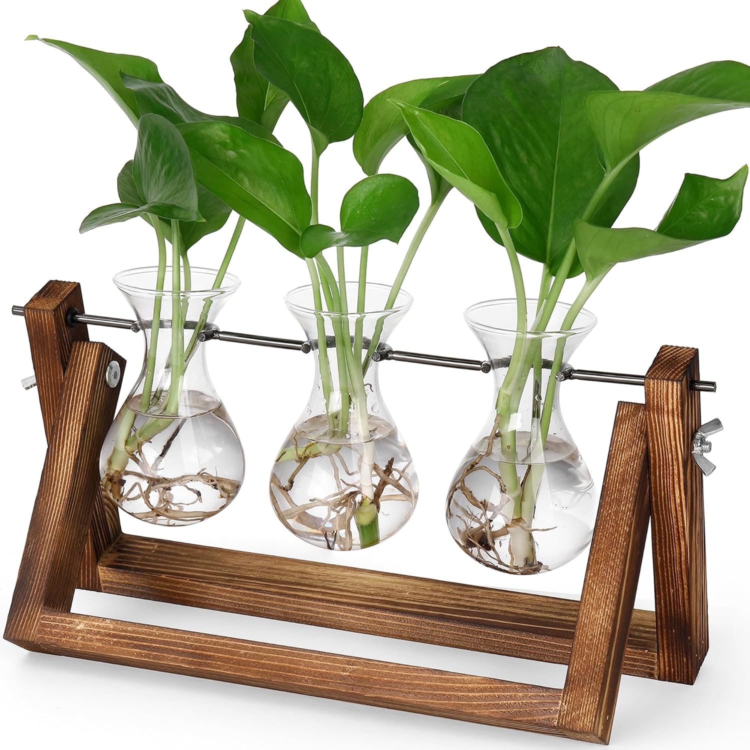 YIBOT Propagation Stations,Plant Terrarium with Retro Wooden Stand,Unique Garden...