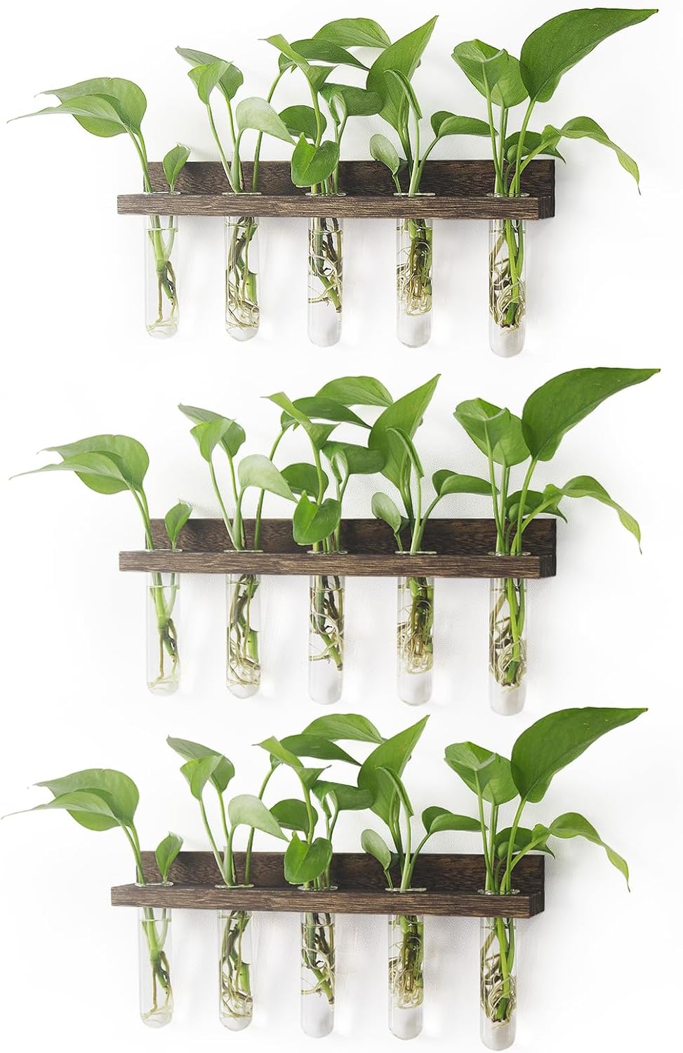 Plant Propagation Station Tubes, 3 Tiered 15 Wall Hanging Glass Test Tubes Vase...