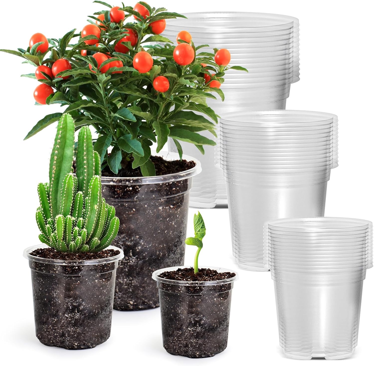 36 Packs 5/4/3.5 Inch Reinforced Clear Nursery Pots with Drainage Hole, Transpar...