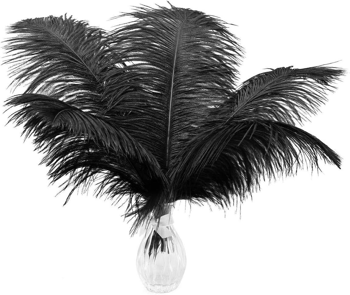 Ballinger Black Large Ostrich Feathers - 24Pcs 12-14inch Large Feathers for Vase...