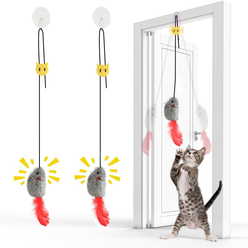 FYNIGO Cat Toys for Indoor Cats Adult Kitten, 2 Pack Door Hanging Interactive Ca...