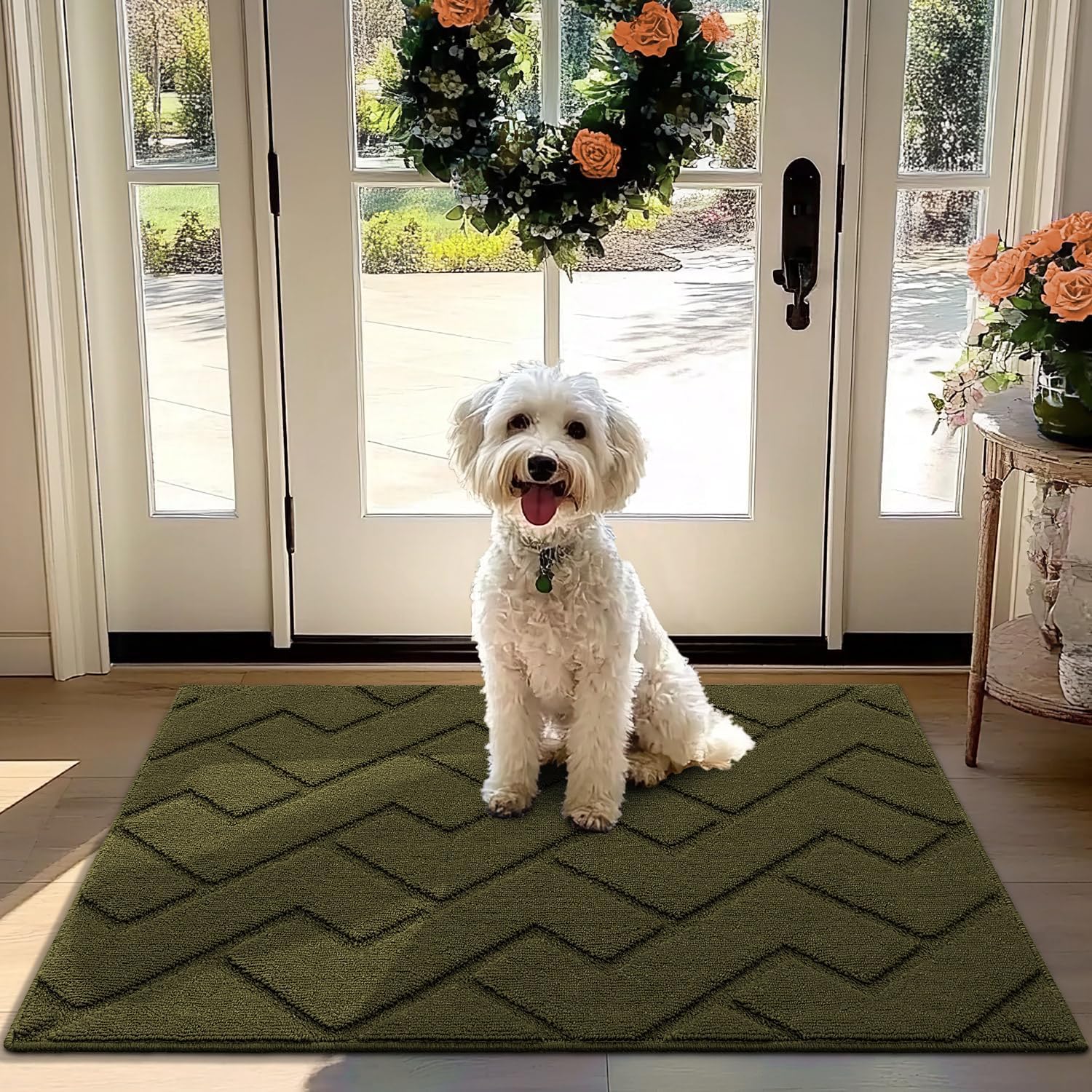 Biscpro Door Mat, 80x120 cm DoorMat Indoor Washable, Doormat Indoor Dirt Trapper...