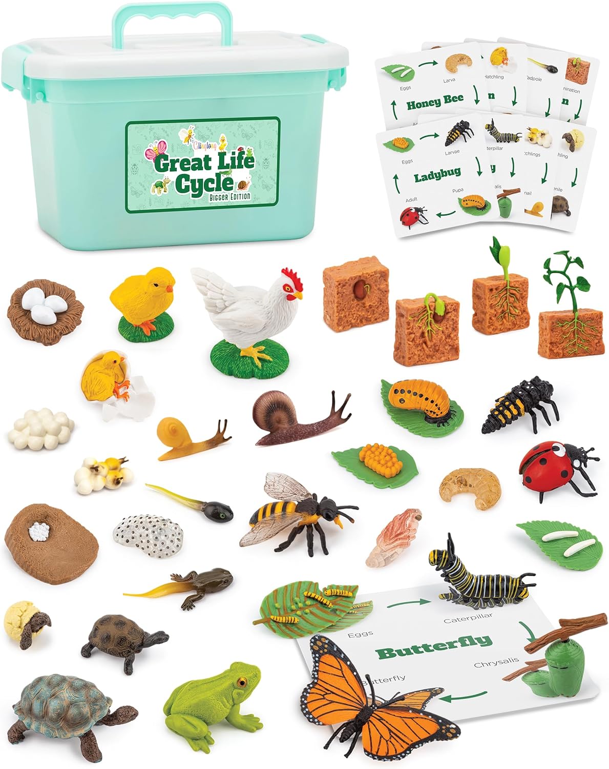 Life Cycle Science Kit Montessori Realistic Figurine, Kids Animal Matching Game...