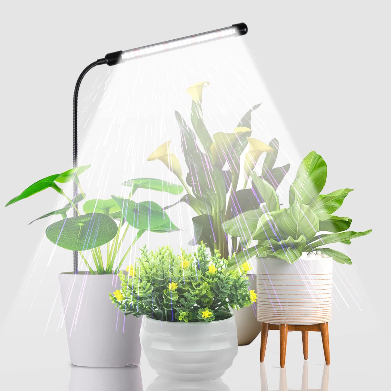 Juhefa Grow Light for Indoor Plants Growing, 6000K...