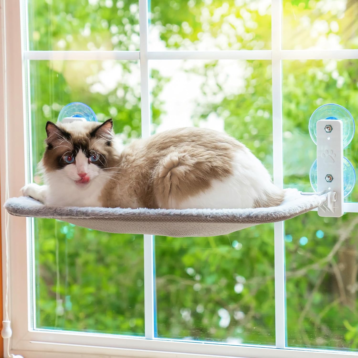 MEWOOFUN Foldable Cat Window Hammock Perch - Cat Window Bed 54x30cm with Powerfu...