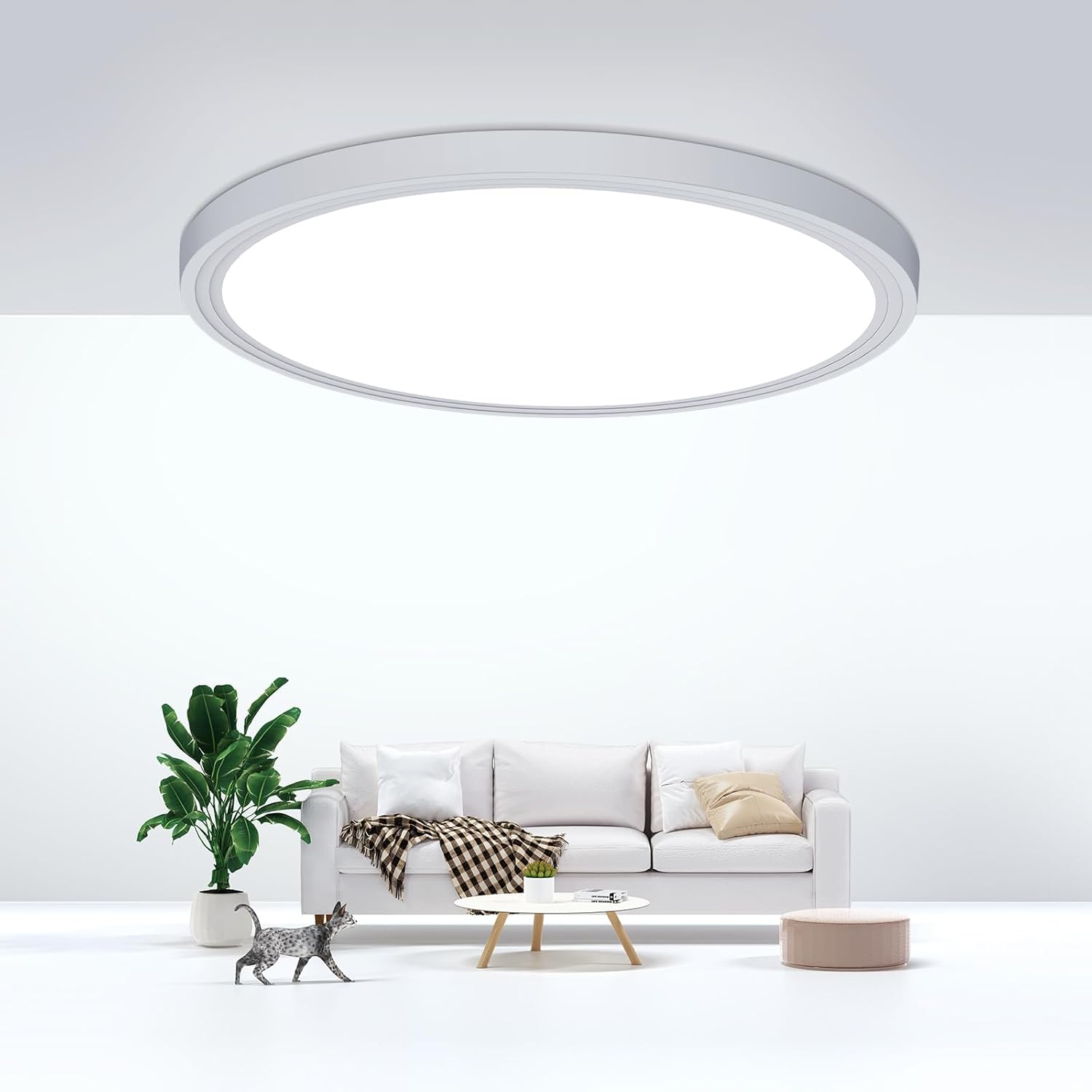 Flush Mount Ceiling Light Fixtures,24W Flat led Light for Ceiling,6000K 2200LM U...