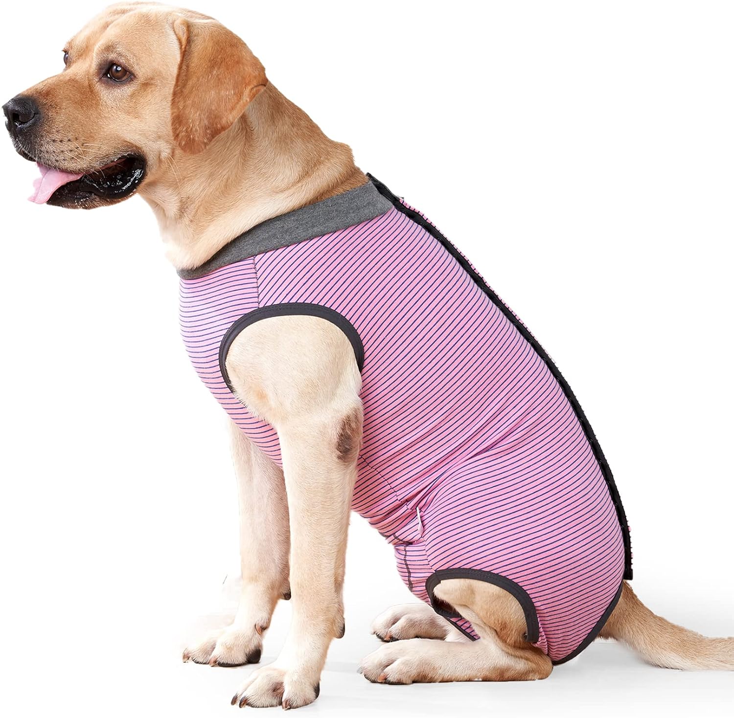 HEYWEAN Dog Recovery Suit Spay Suit for Female Dog Bodysuit After Surgery Dog On...