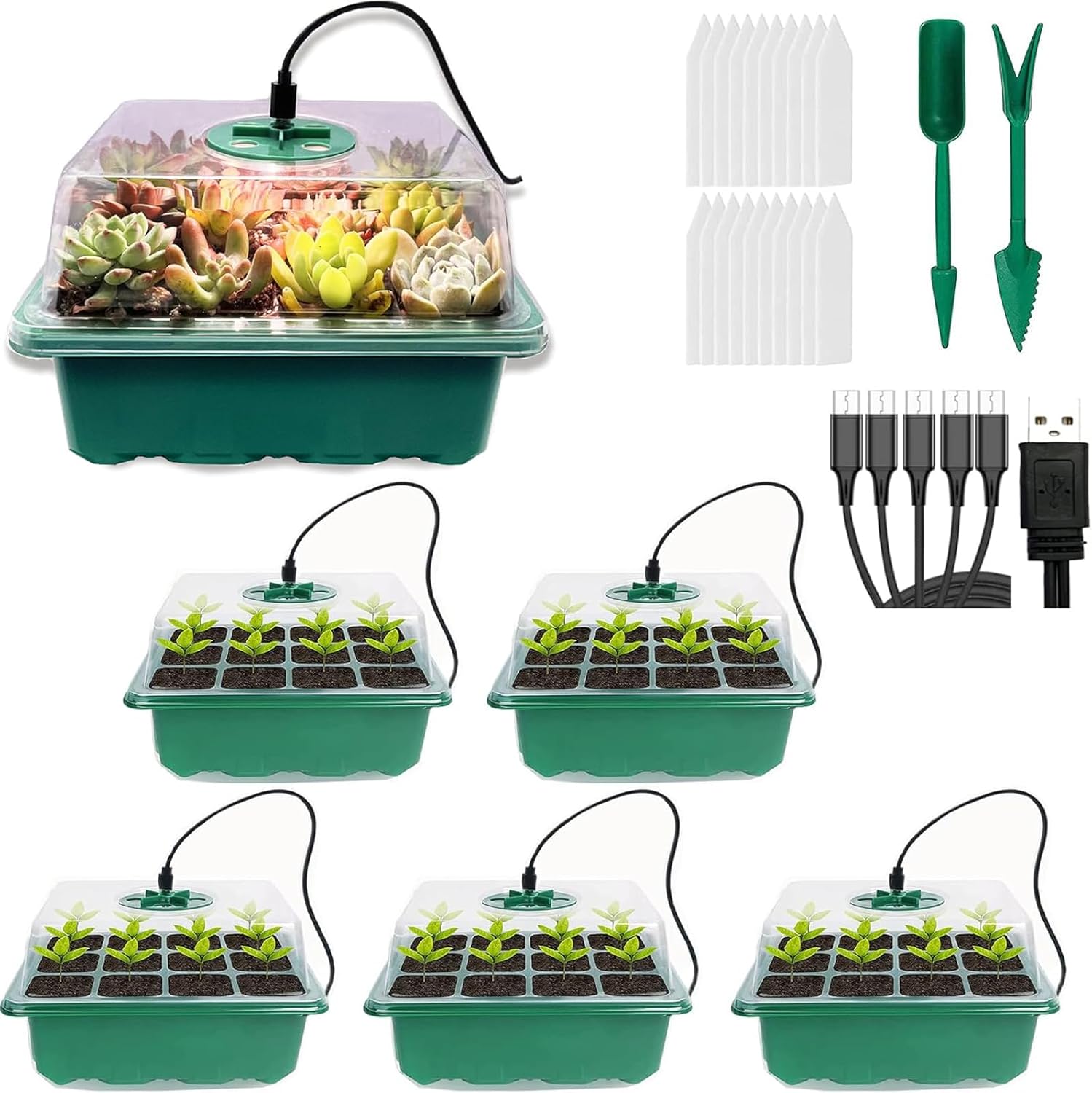 VDYXEW 5 Pack Propagator with Lights, Seed Trays, Seed trays with lids, Mini Gre...