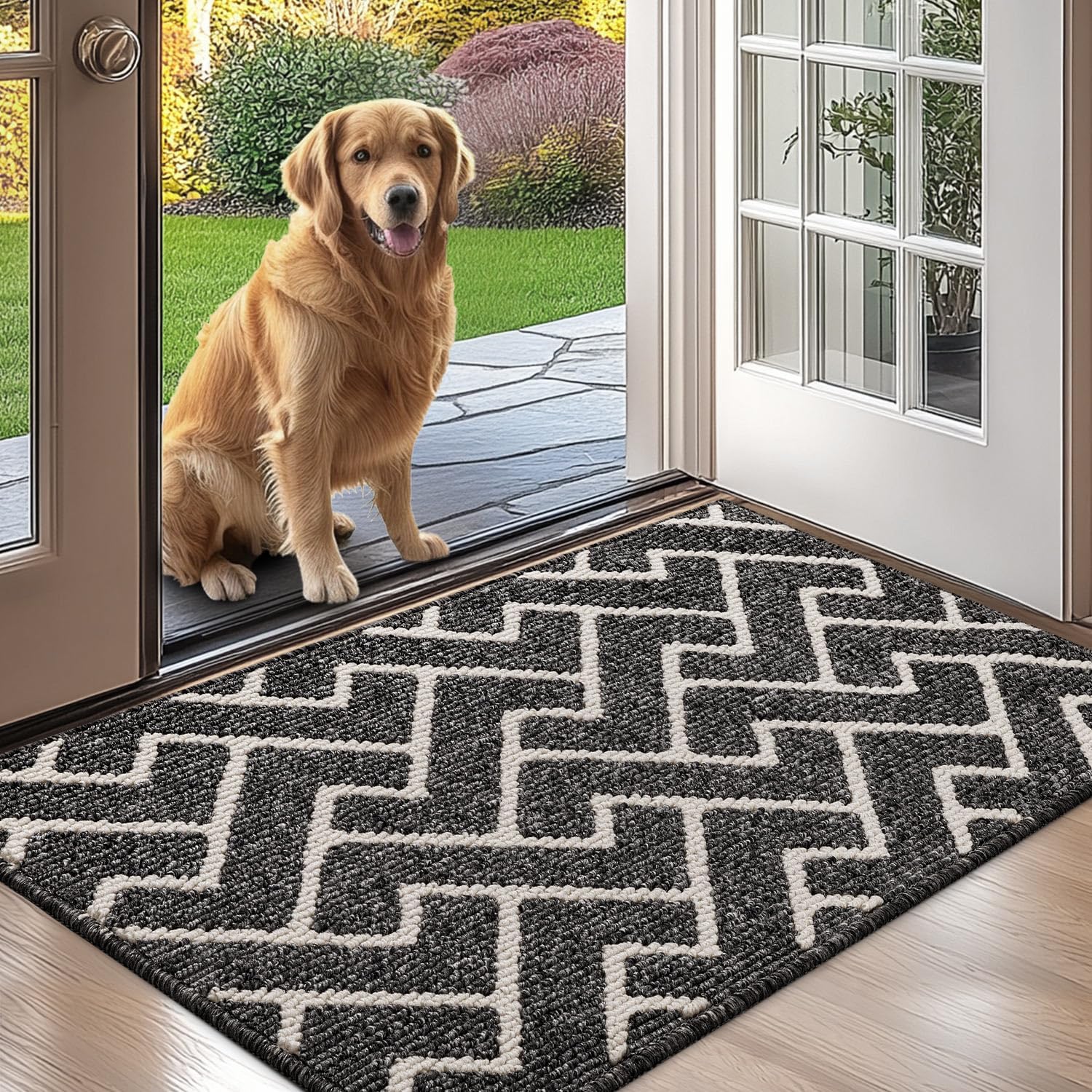 Biscpro Indoor Door Mats,60x90cm Door Mat Non Slip Backing,Dirt Trapper Mat Abso...