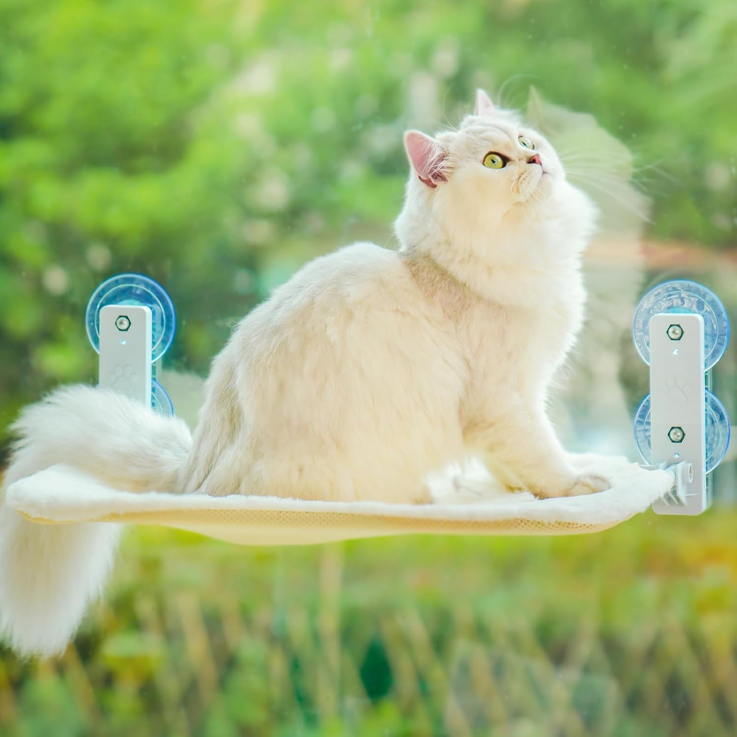 MEWOOFUN Foldable Cat Window Hammock Perch - Large Cat Window Bed 60x30cm with P...