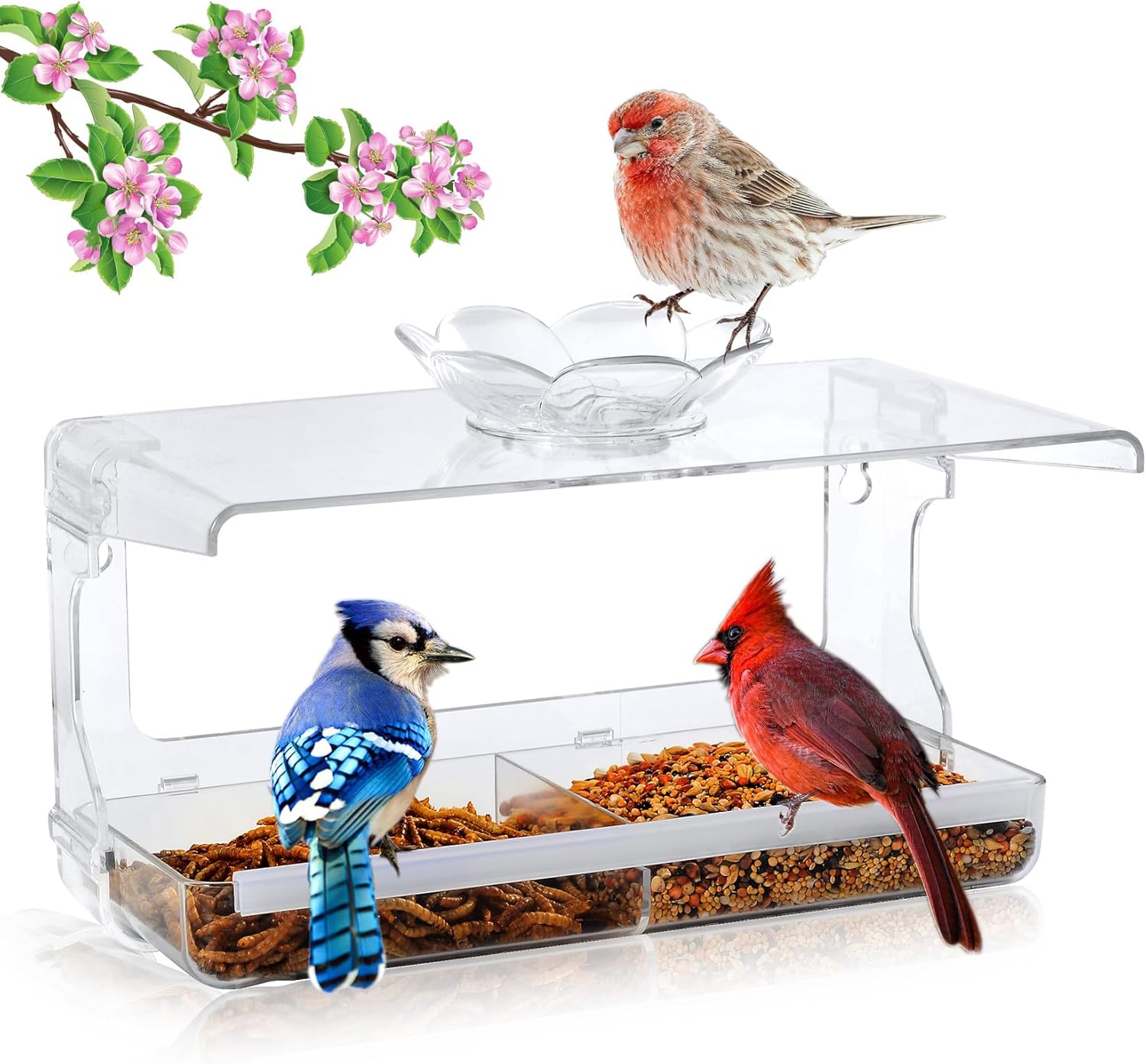 Window Bird Feeder with Non-Marking Self-Adhesive Hooks, Clear Window Bird Feede...