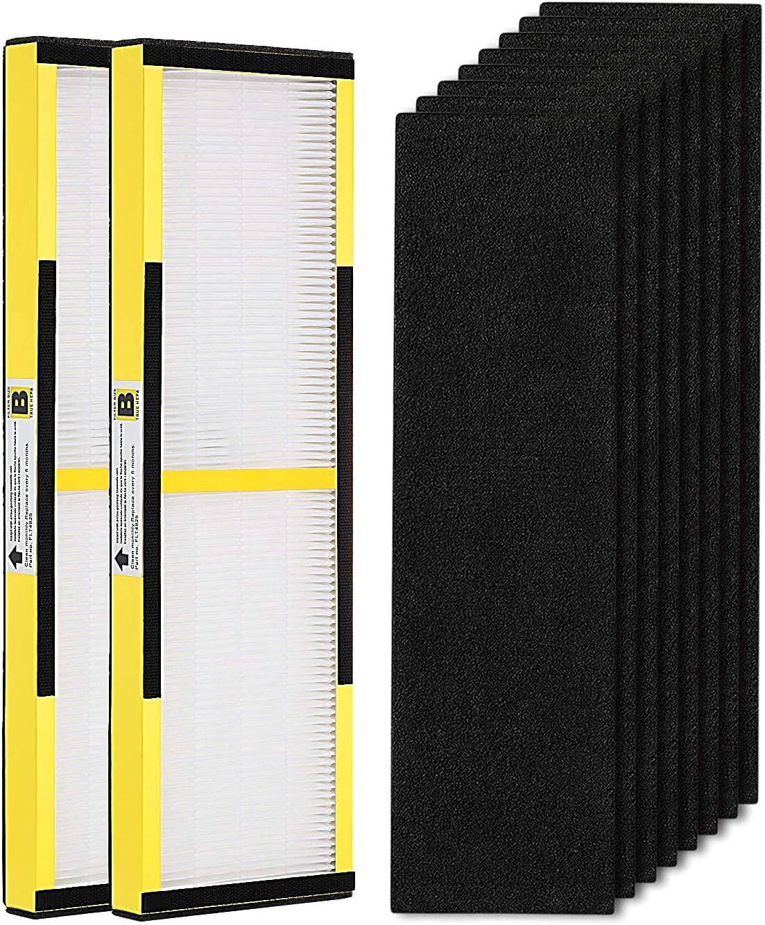 2 Pack FLT4825 True HEPA Filter B Replacement with Activated Carbon Pre-Filters...