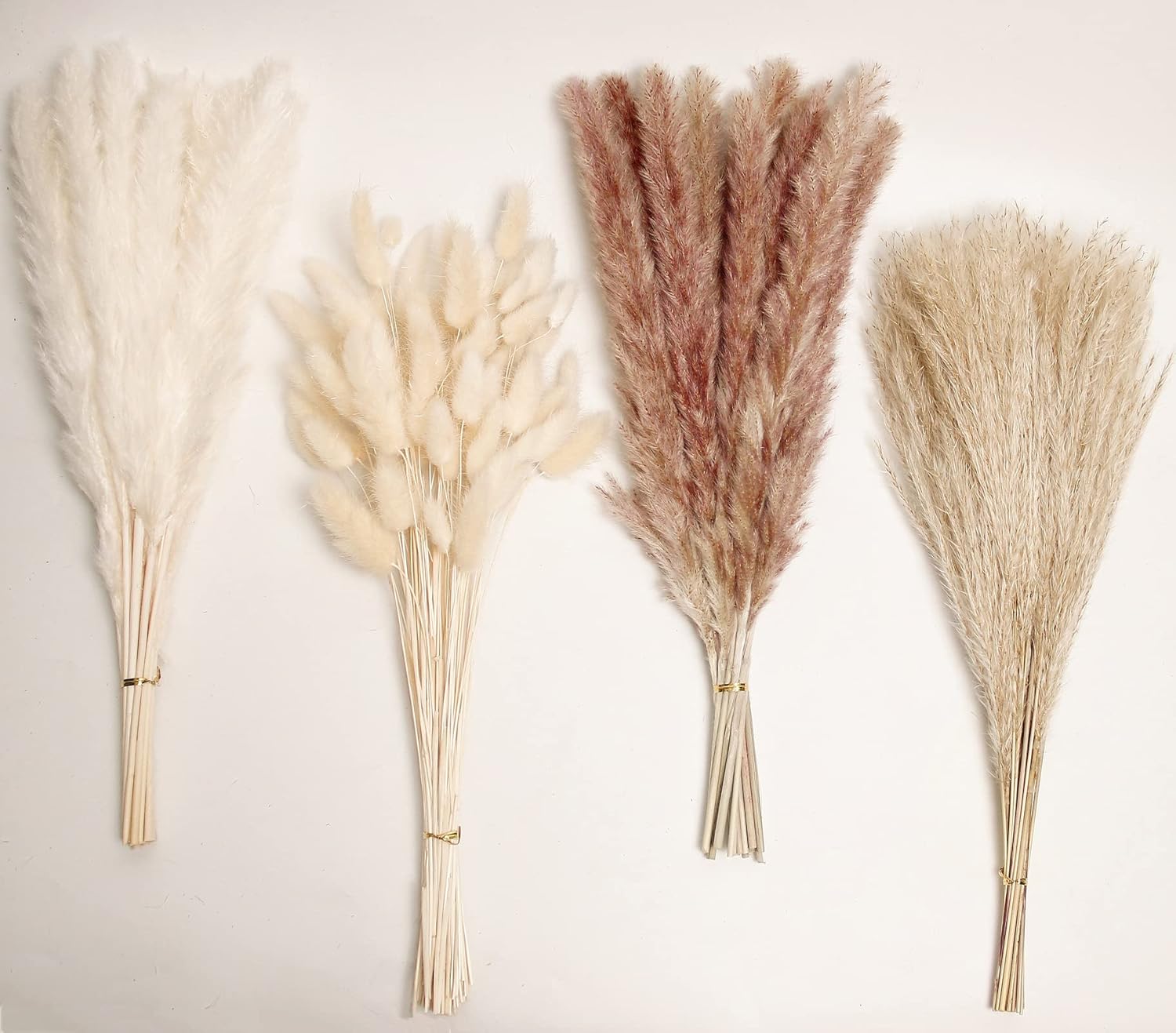 Natural Dried Pampas Grass Decor, 100 PCS Pampas Grass Contains White Bunny Tail...