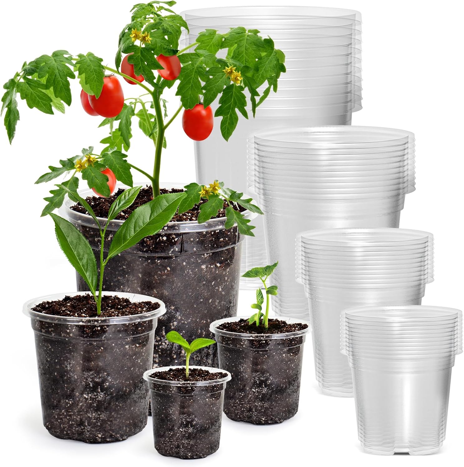 36 Packs 6.7/5/4/3.5 Inch Reinforced Clear Nursery Pots with Drainage Hole, Tran...